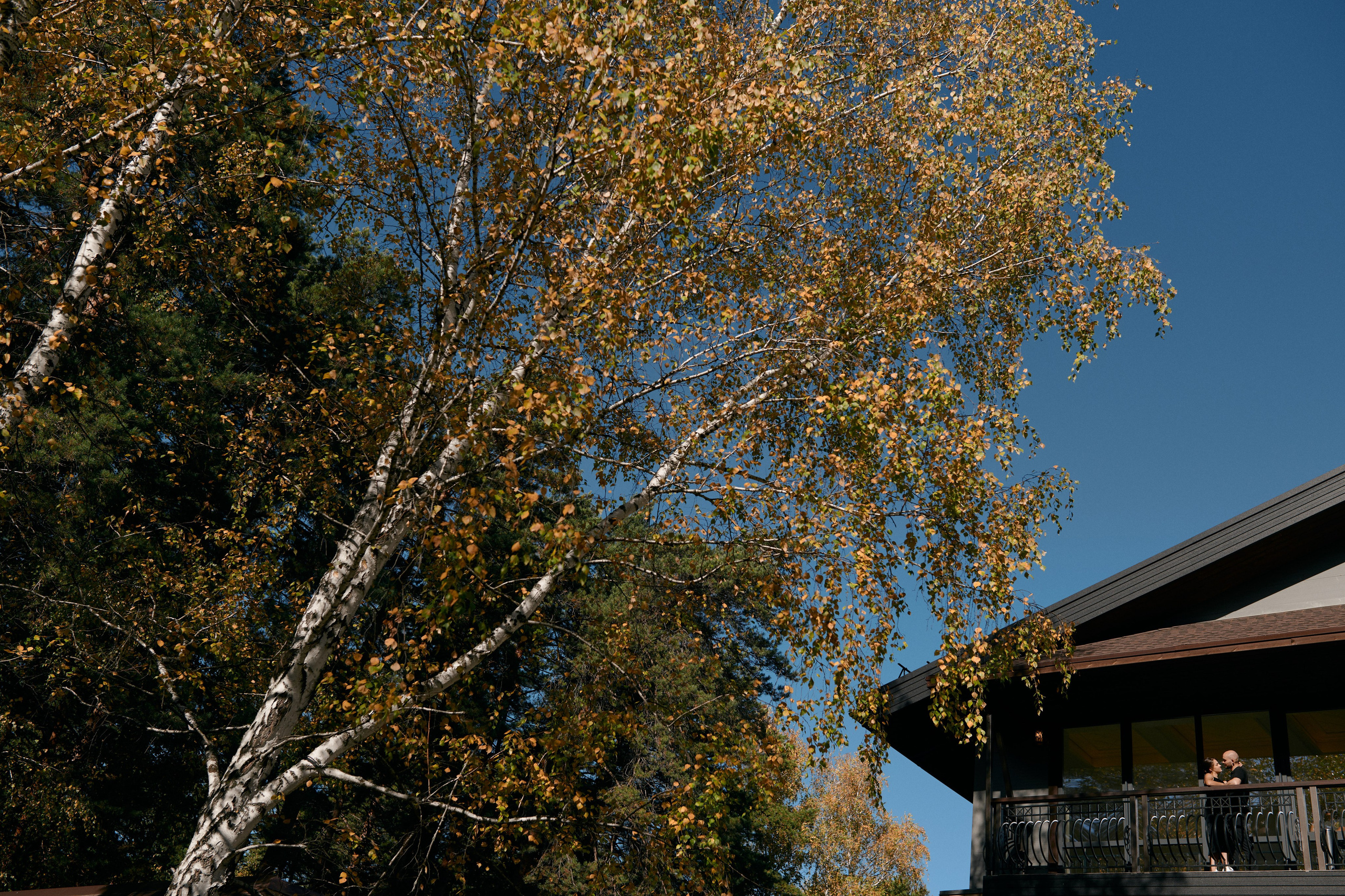 Свадьба Алексея и Екатерины. Сергей Богомолов. Свадебный и семейный фотограф