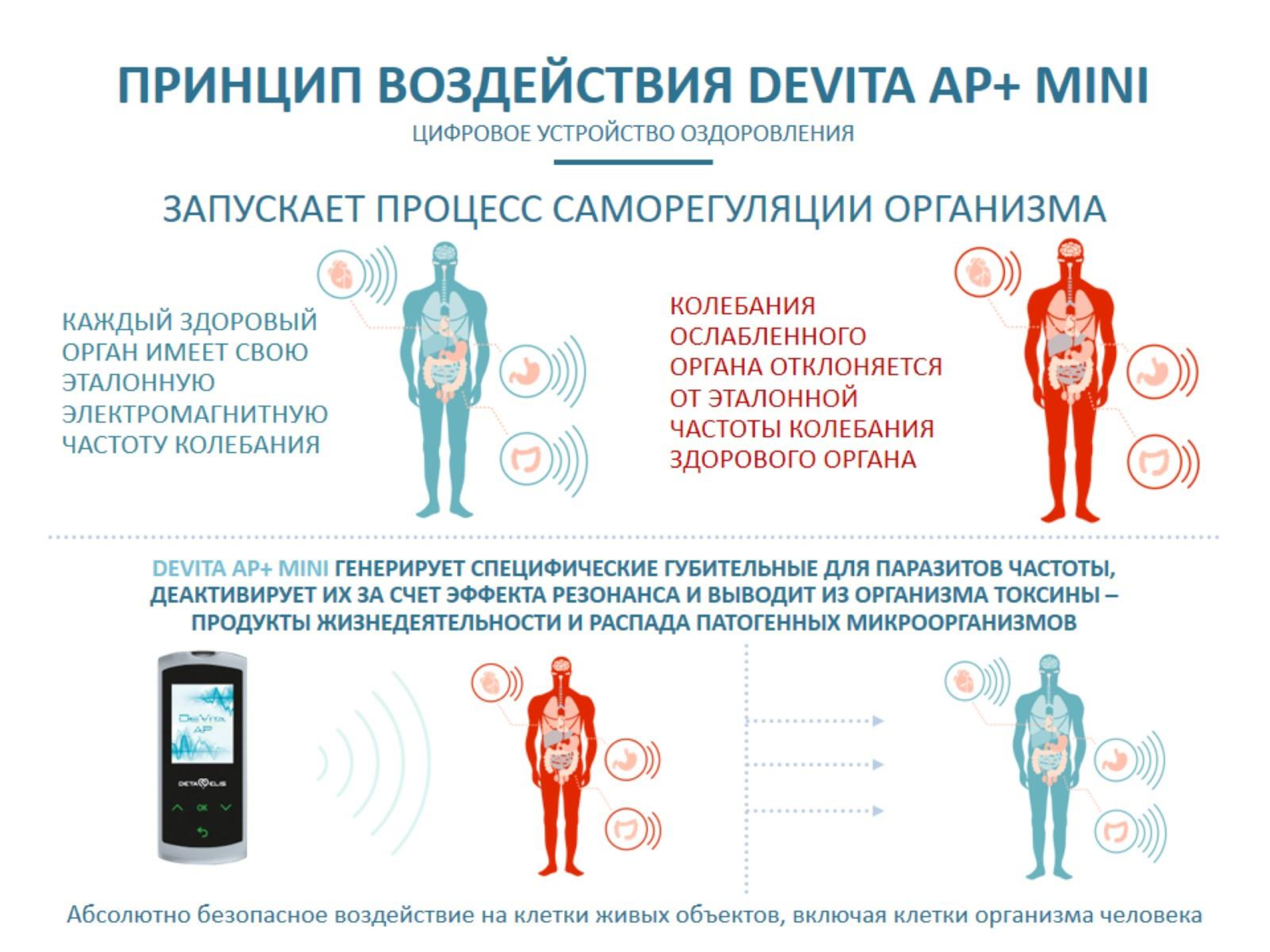 ДеВита АП Мини+ DeVita AP Mini+ Очищает организм от известных групп возбудителей заболеваний - вирусов, бактерий, простейших, грибков, гельминтов, выводит токсины г.Зеленоград