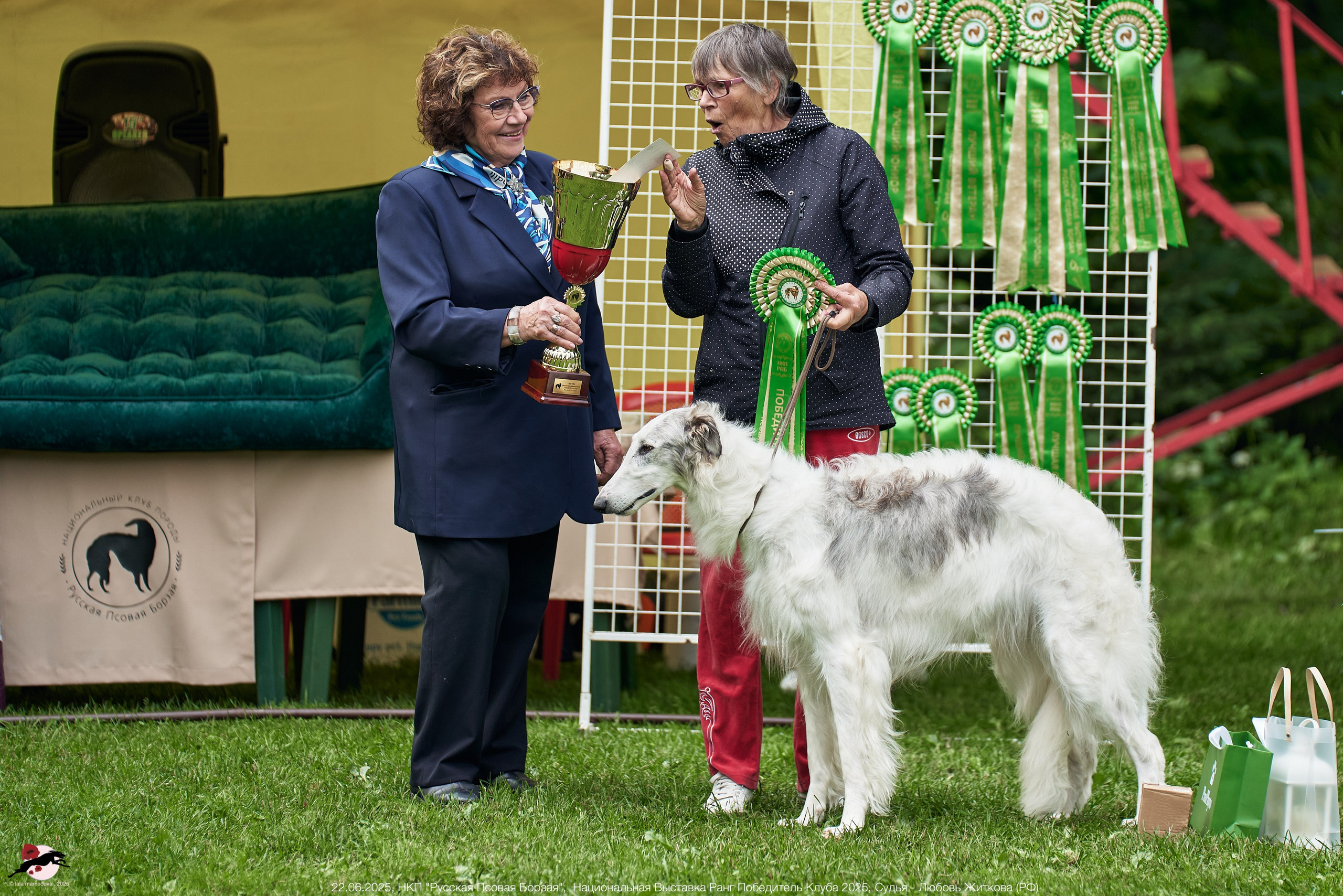 22.06.2025 | Национальная Выставка НКП "Русская Псовая Борзая"