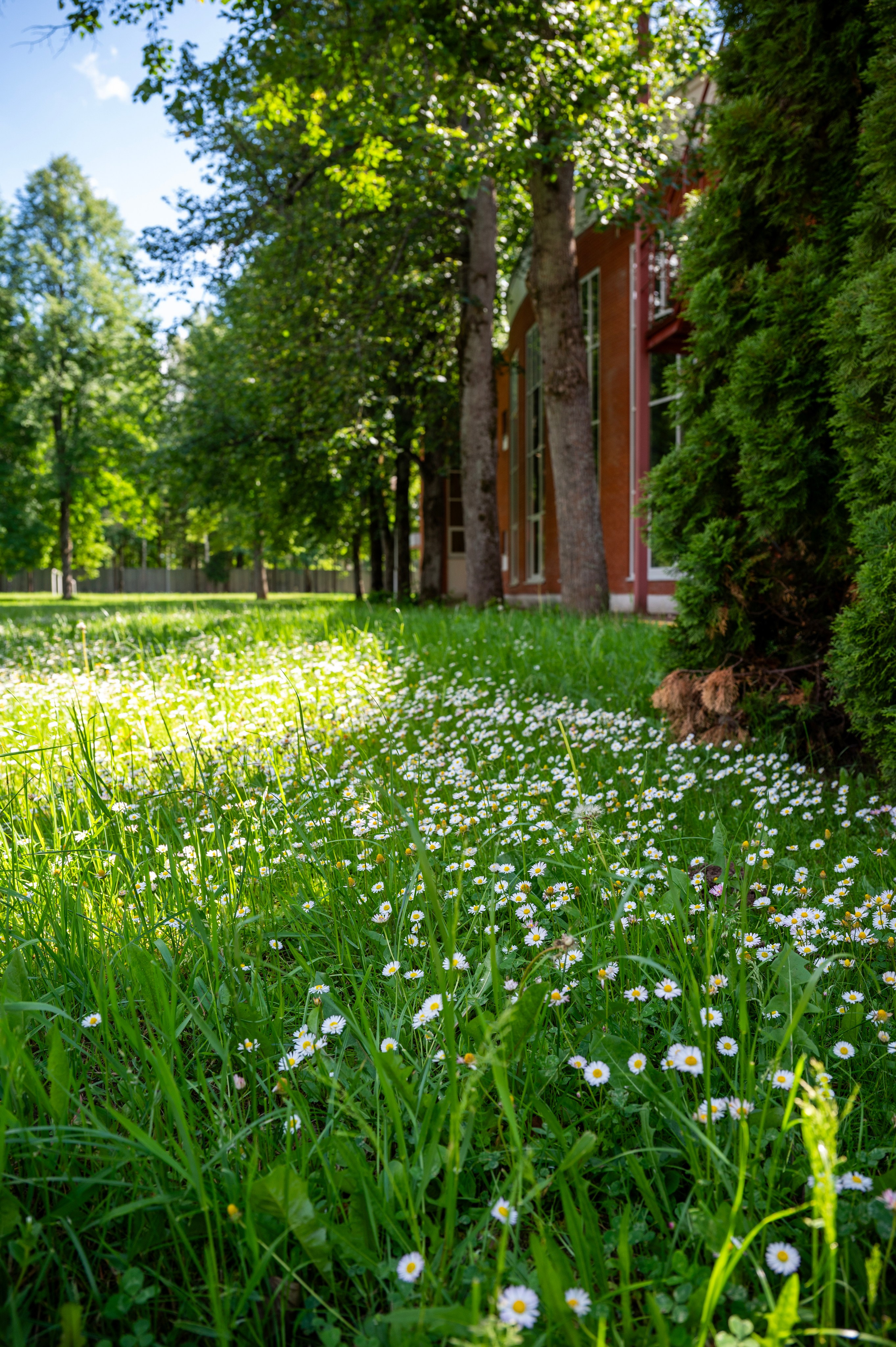 Детская летняя театральная лаборатория Московского театра оперетты