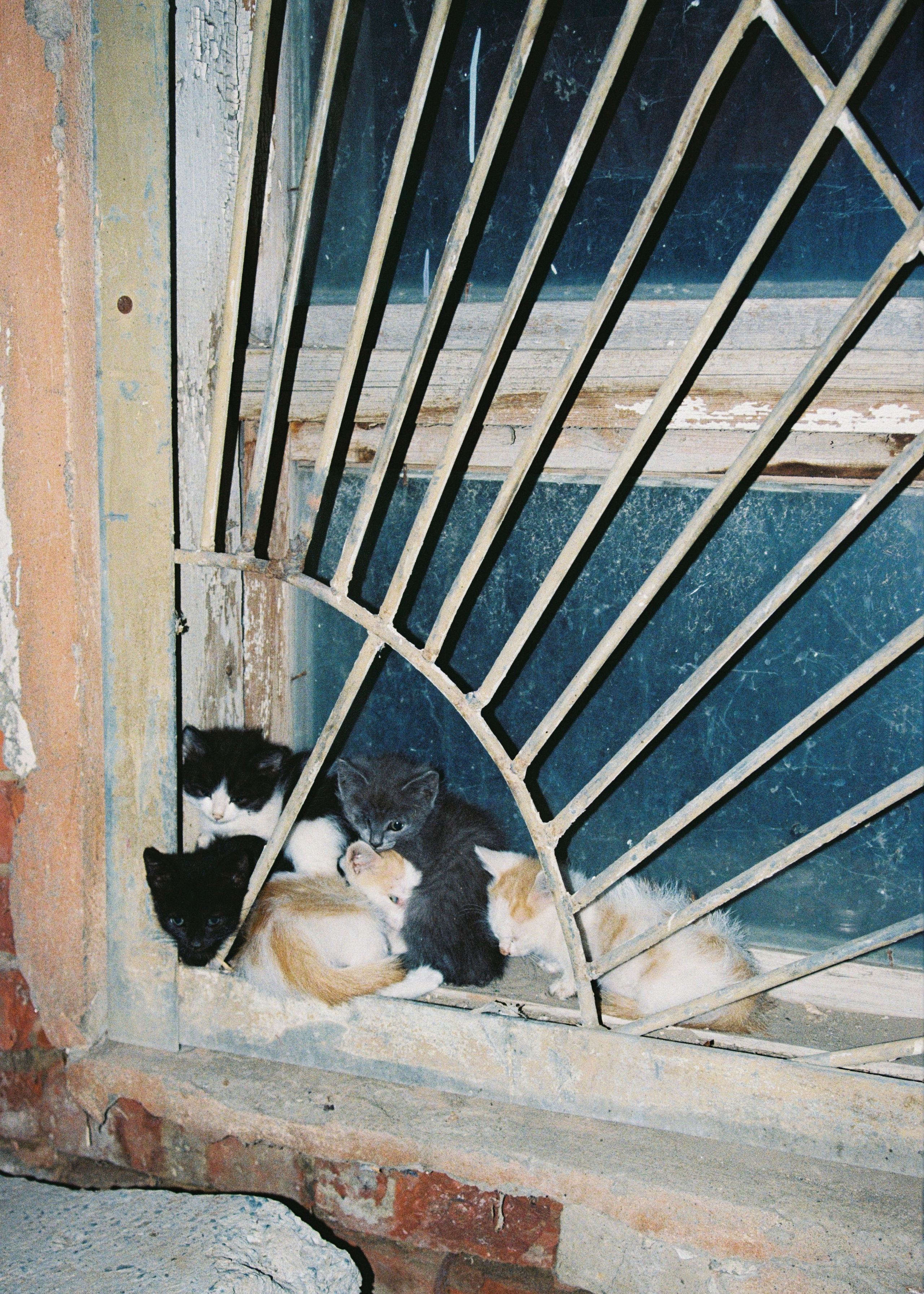 (Astrakhan) in a time capsule. Lidia Anosova