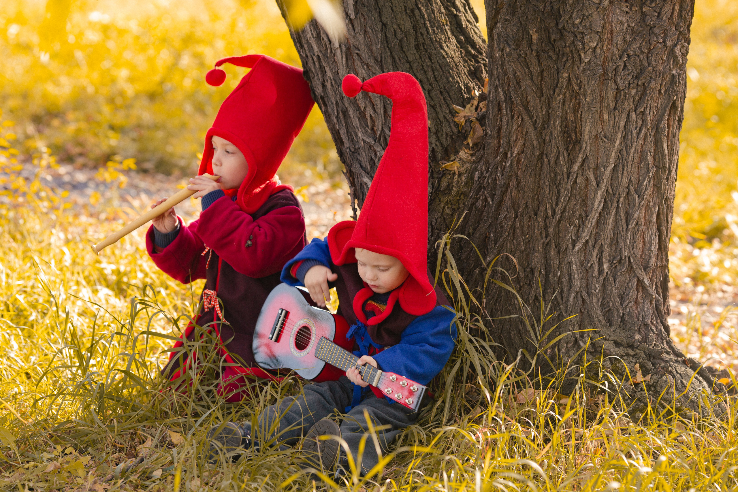 Лесные гномы