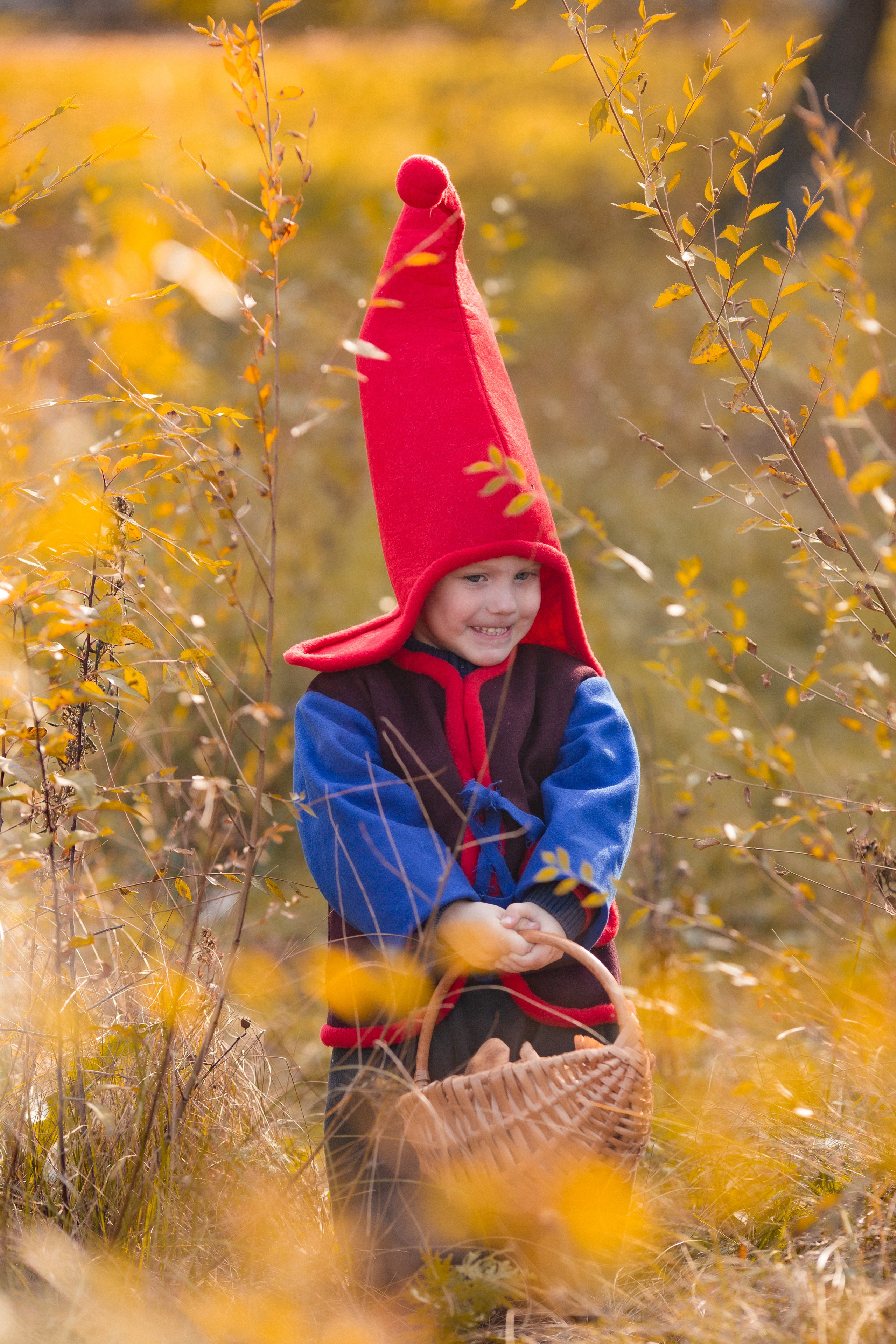 Лесные гномы