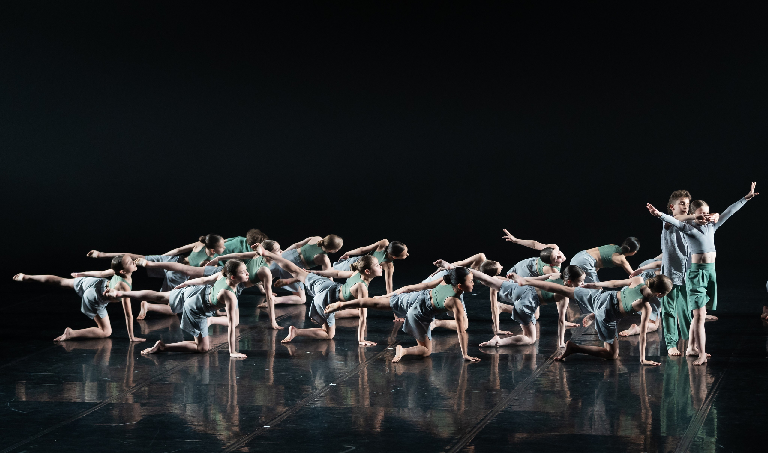 Услуги репортажного фотографа Санкт-Петербург | Евгений Мальцев. Репортажный фотограф Санкт-Петербург | Евгений Мальцев