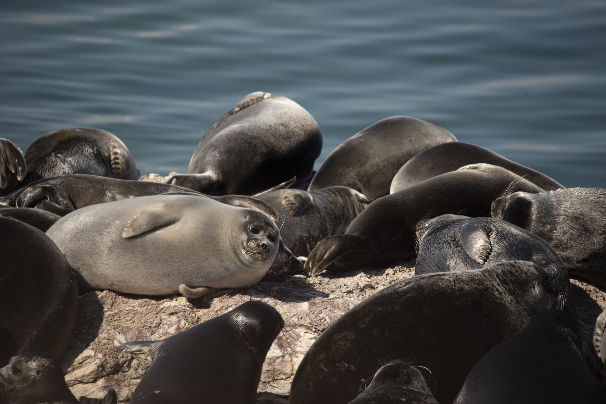 О Байкале. Туры на Байкал с фотографом под ключ. Фотосессии на Ольхоне