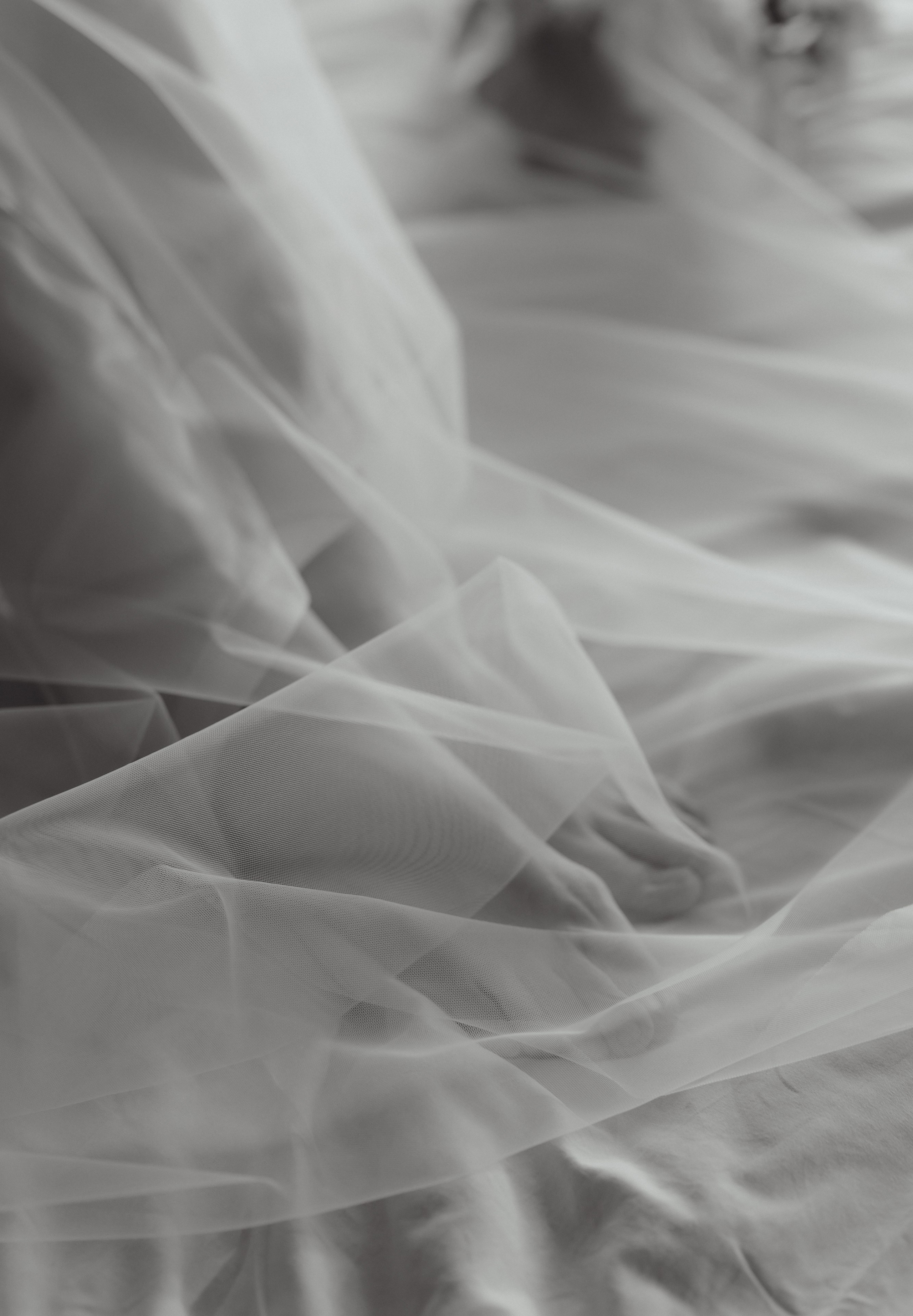 Свадебный прайс. Свадебный фотограф Станислав Стиви