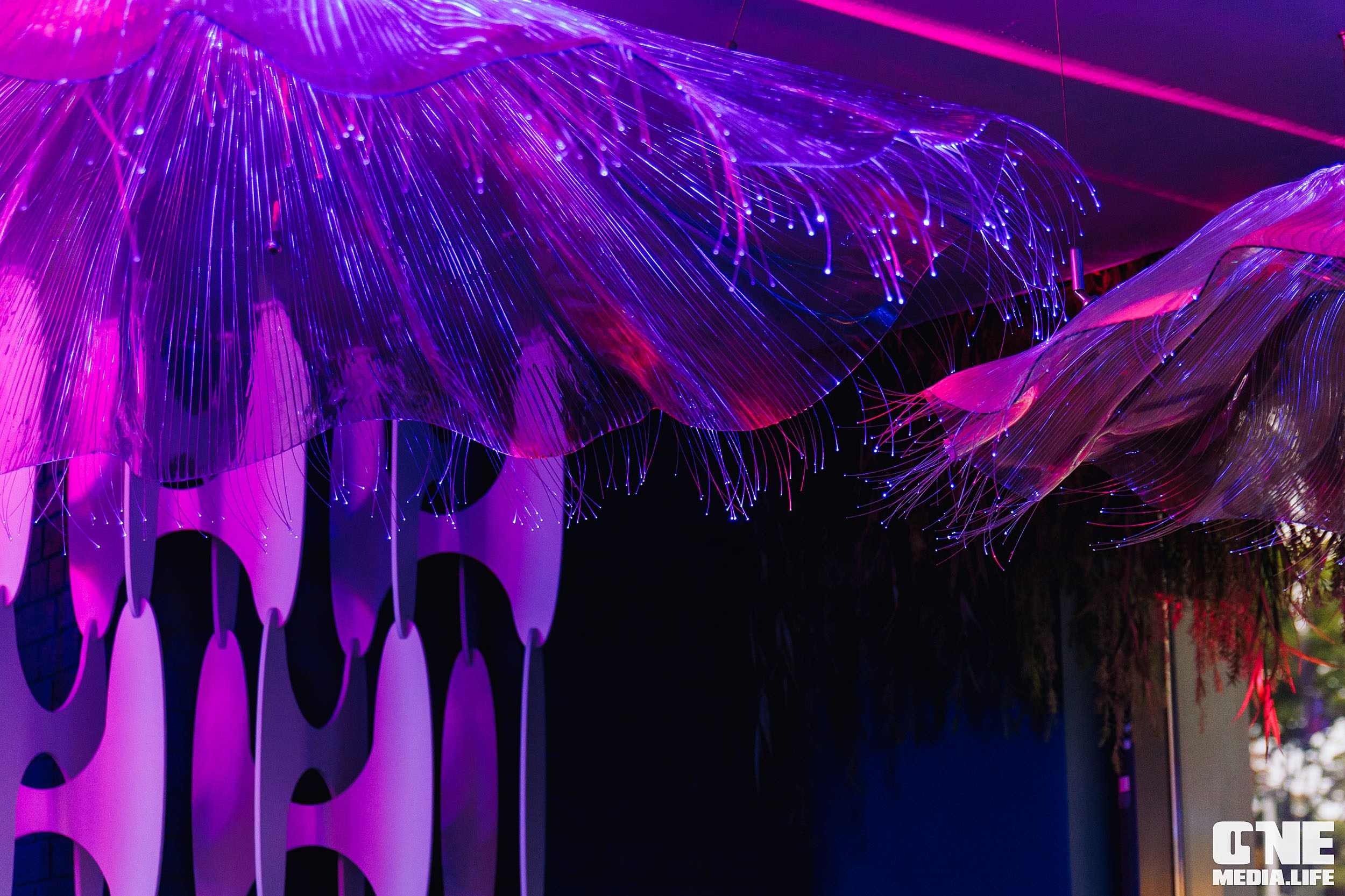 Фоторепортаж из ресторана Океан. One Media Life: фоторепортажи, фотоотчеты с мероприятий и заведений