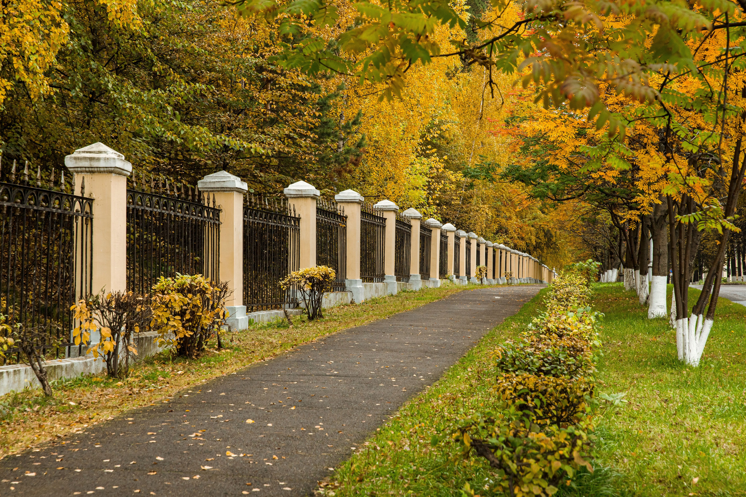 Осень в парке. Семейный и детский фотограф в Железногорске Саламахо Ольга