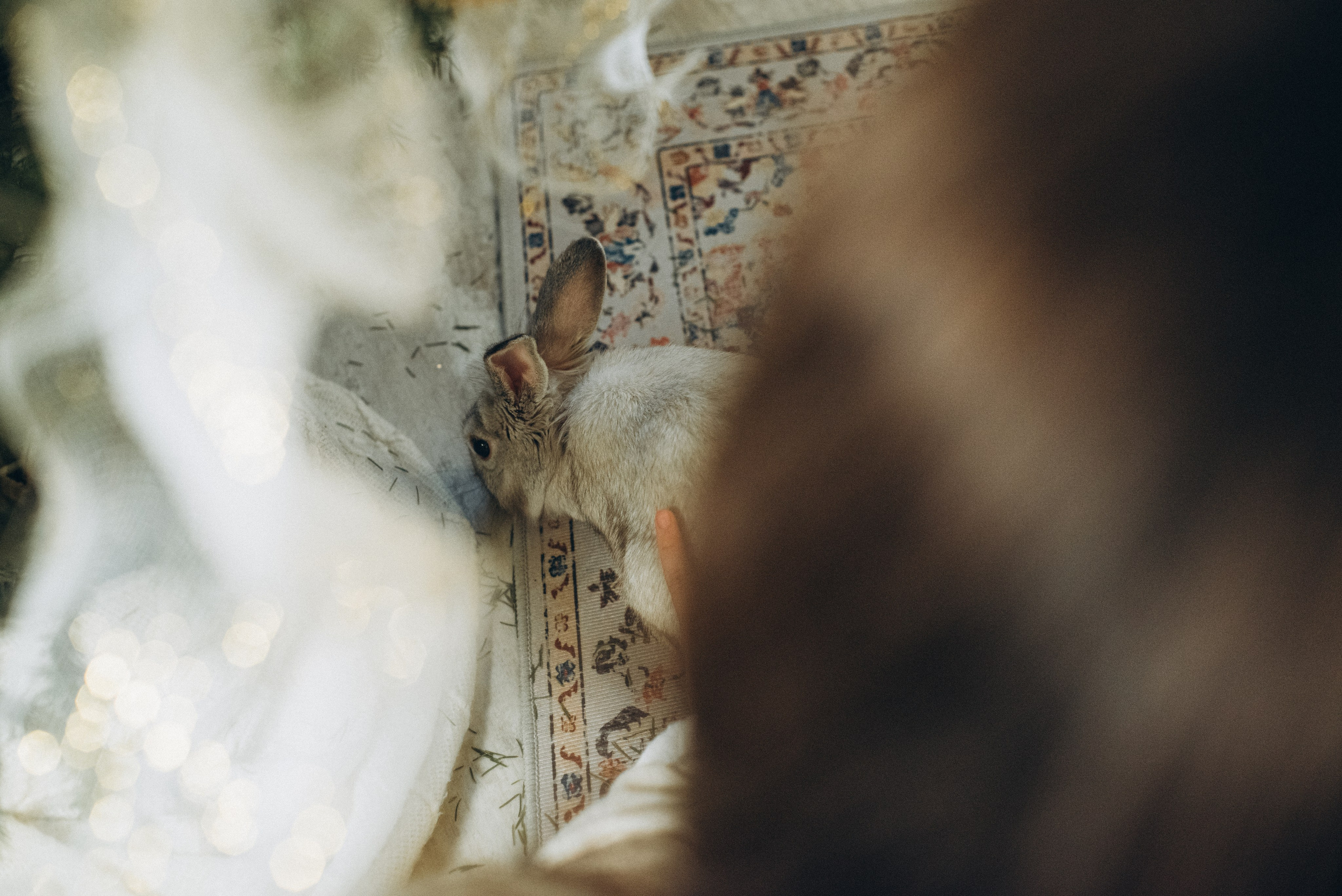 Волшебство внутри тебя. Фотограф Катерина Тюрина. Саратов