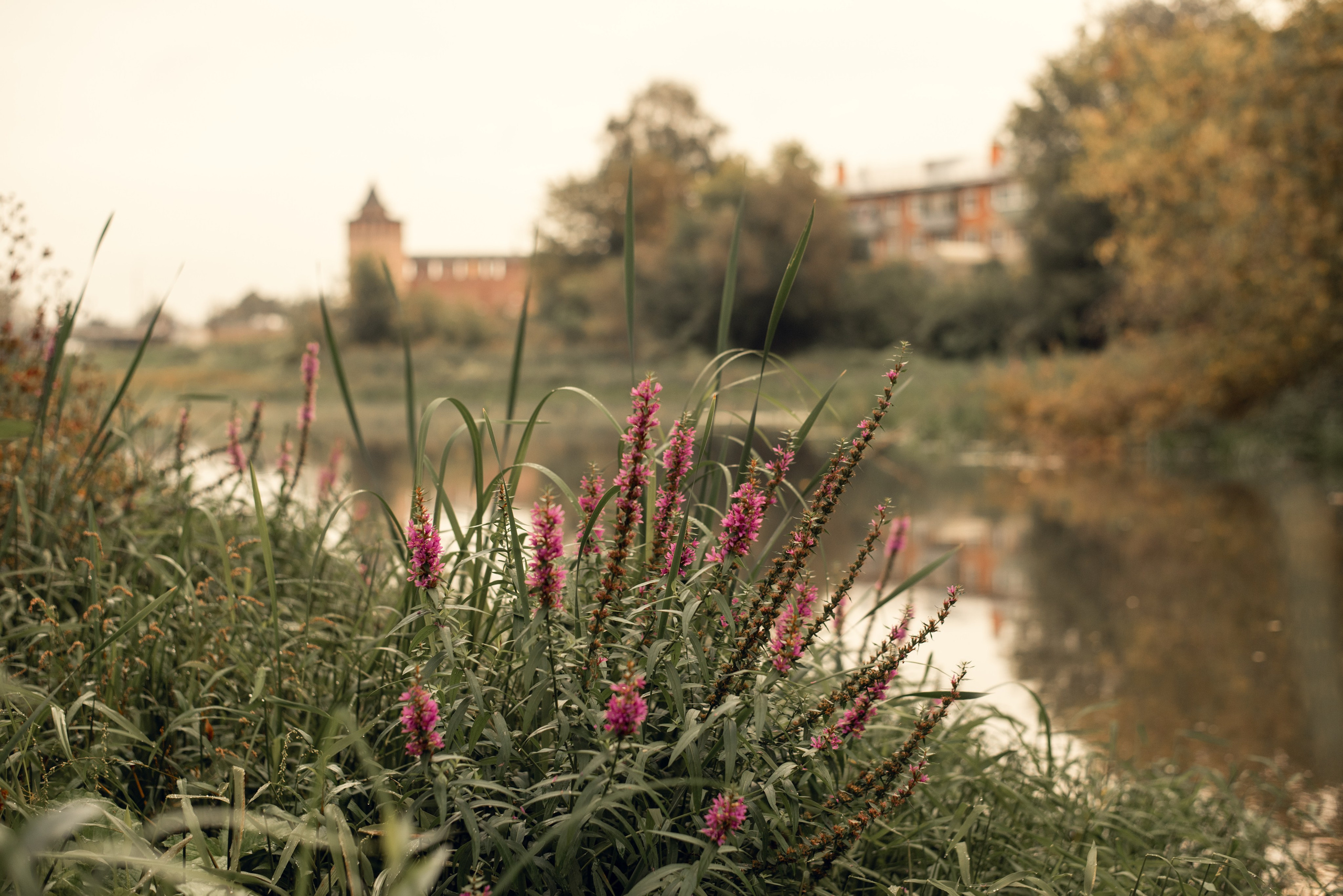 Фототур в Коломну. Семейный фотограф Екатерина Шаманаева