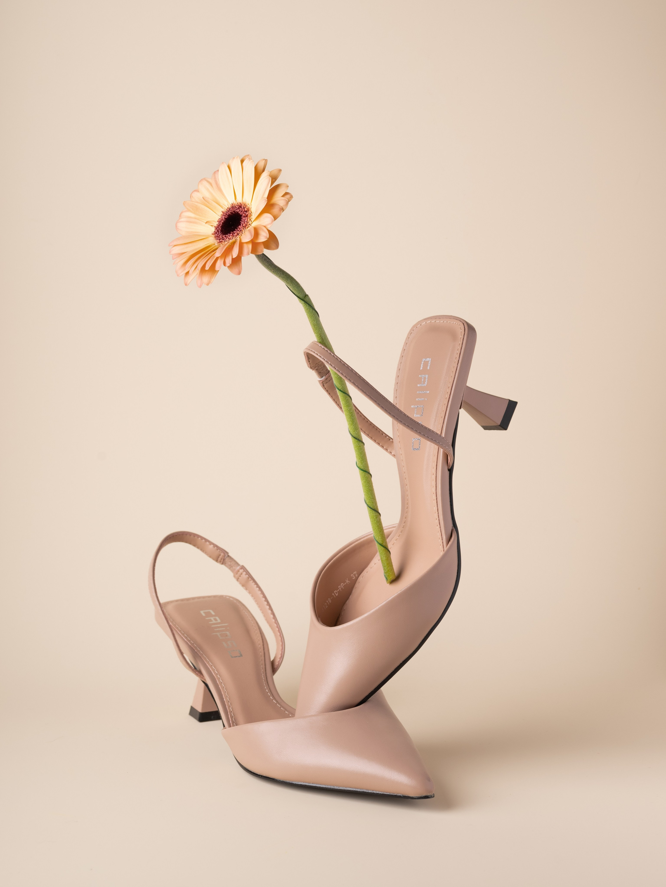 Предметный и фуд-фотограф в Ростов-на-Дону Жанна Скорикова