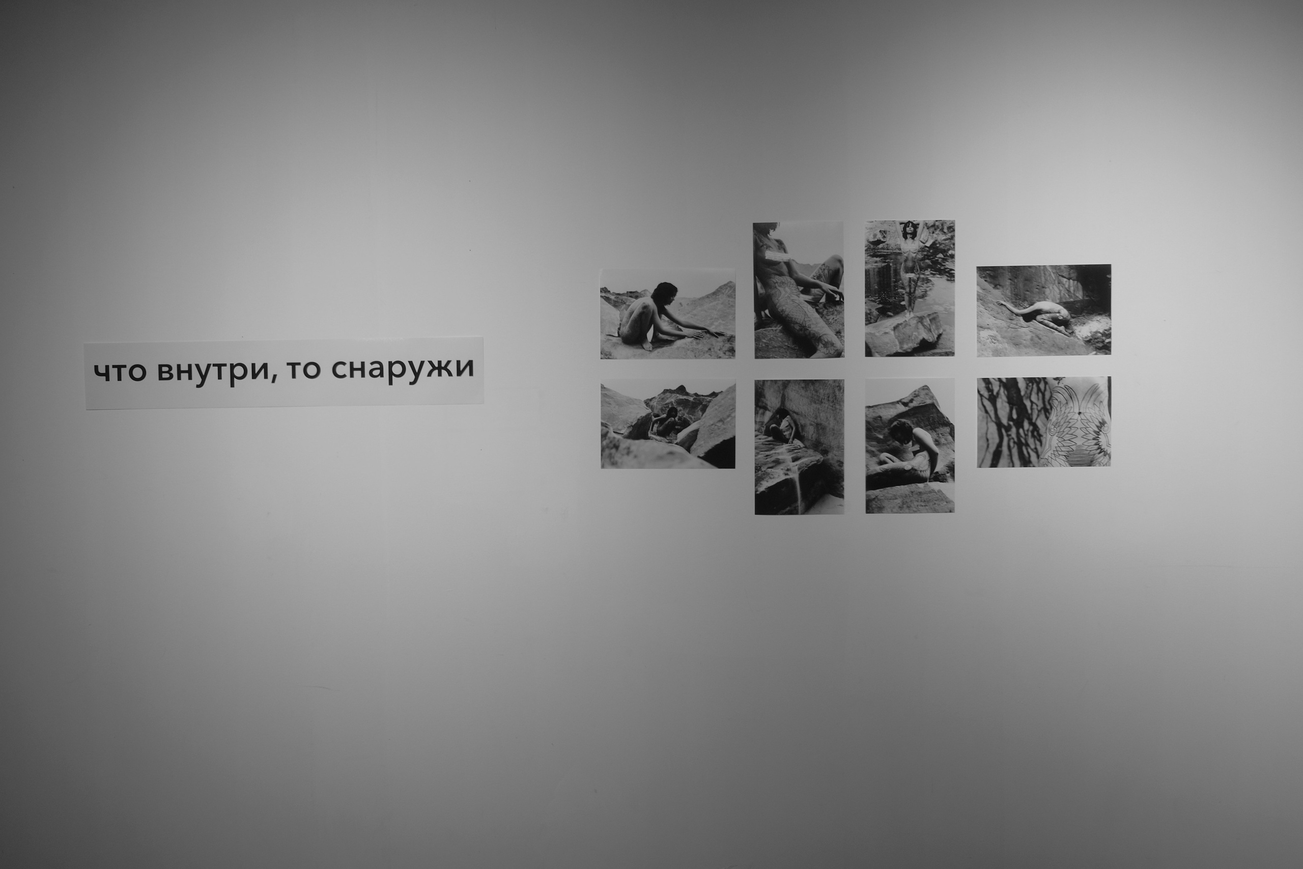 Выставки. Фотограф Настя Лев