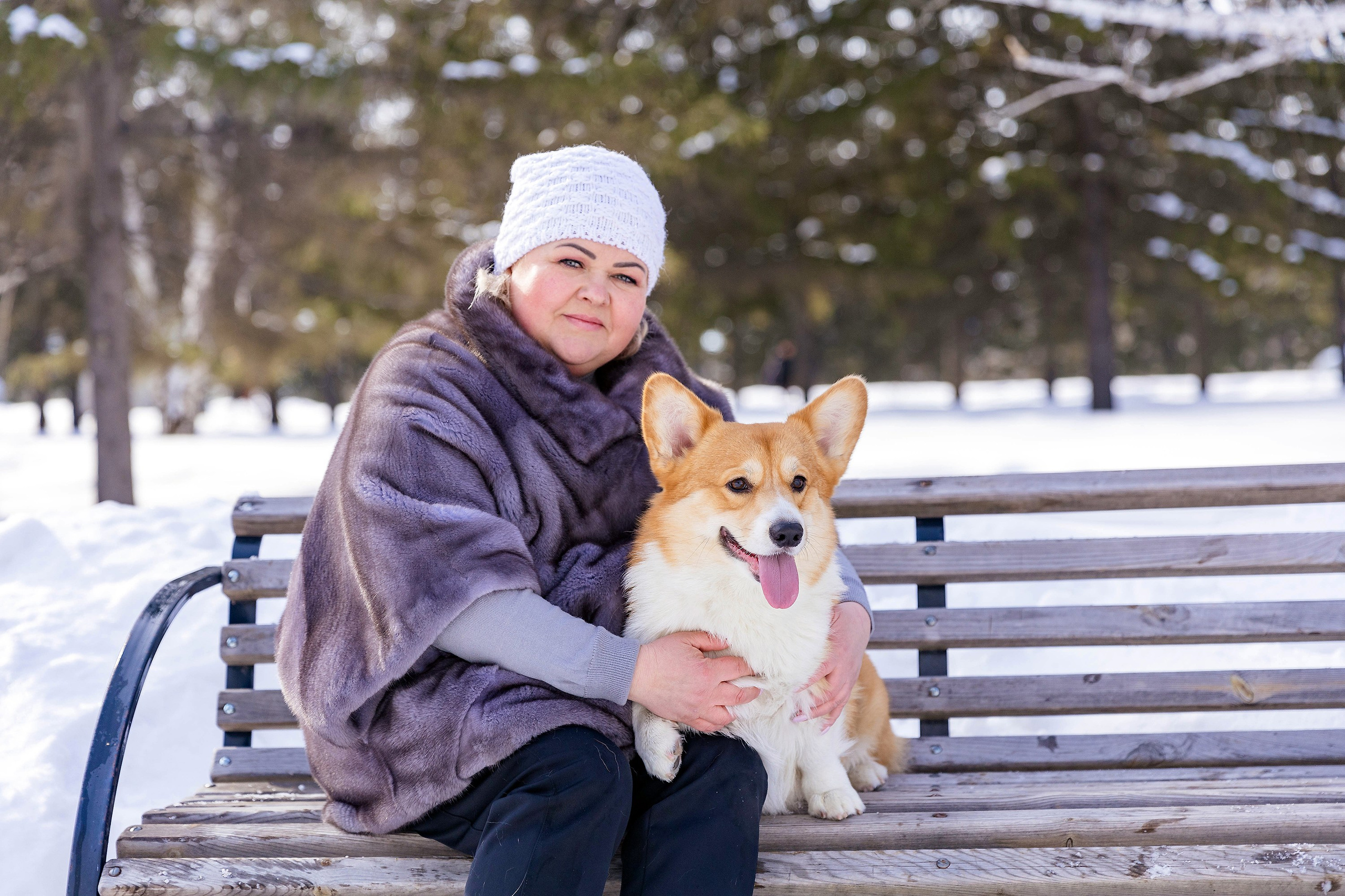 Корги-туса. Фотограф-анималист в Омске Екатерина Маричева