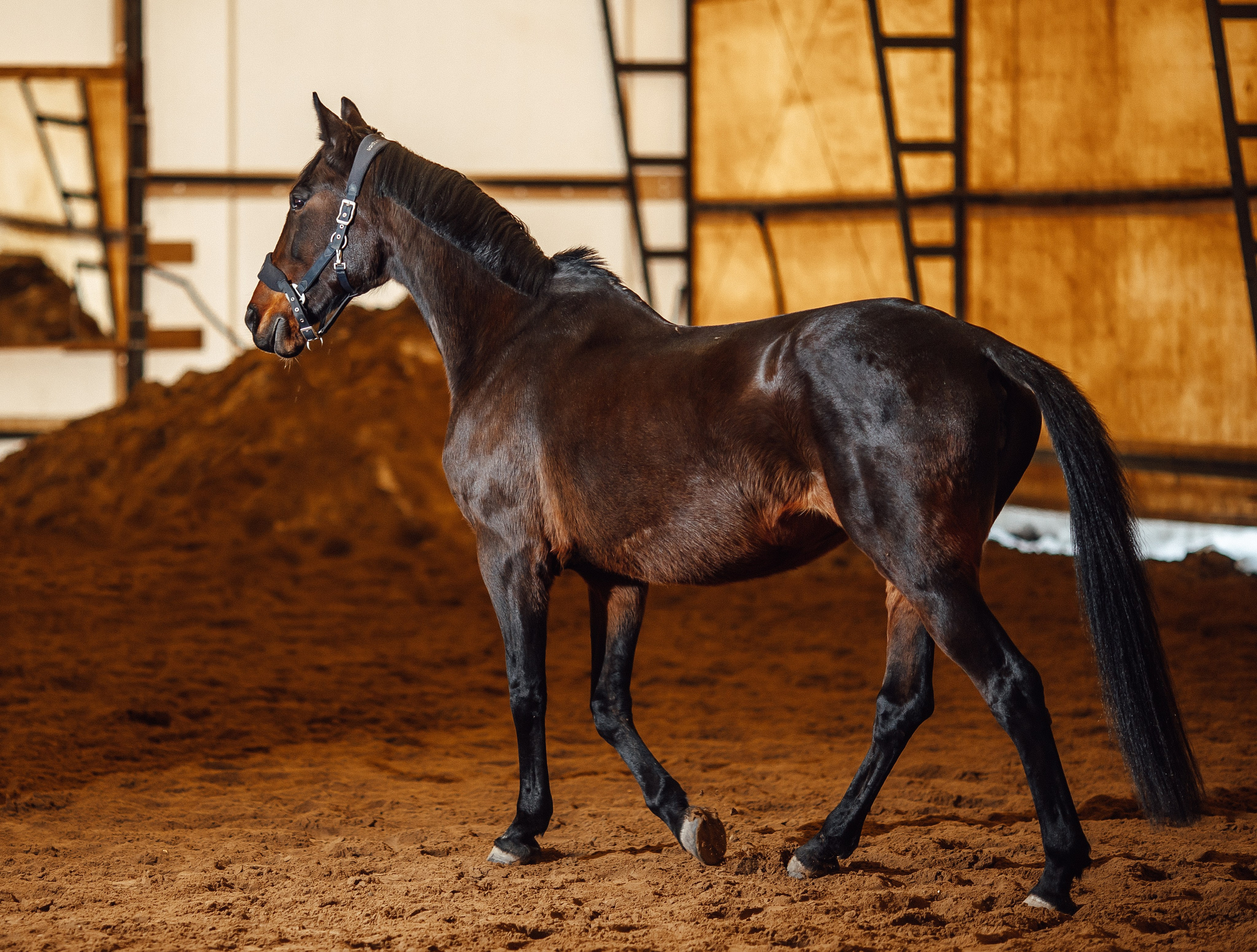 Вилла. Фотограф Варвара Ермоленко