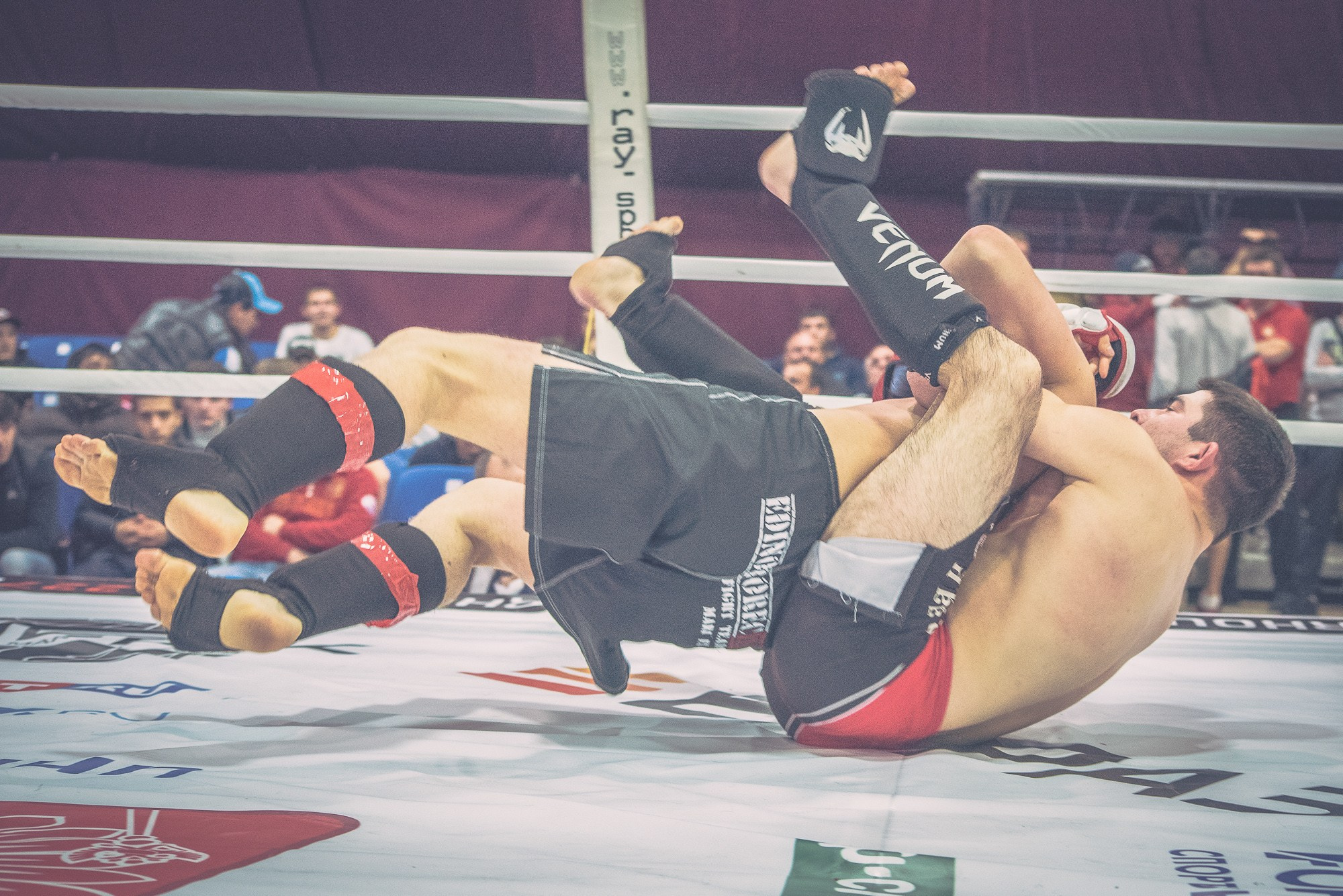 Кубок России по MMA. Репортажный и концертный фотограф в Волгограде Павел Панько