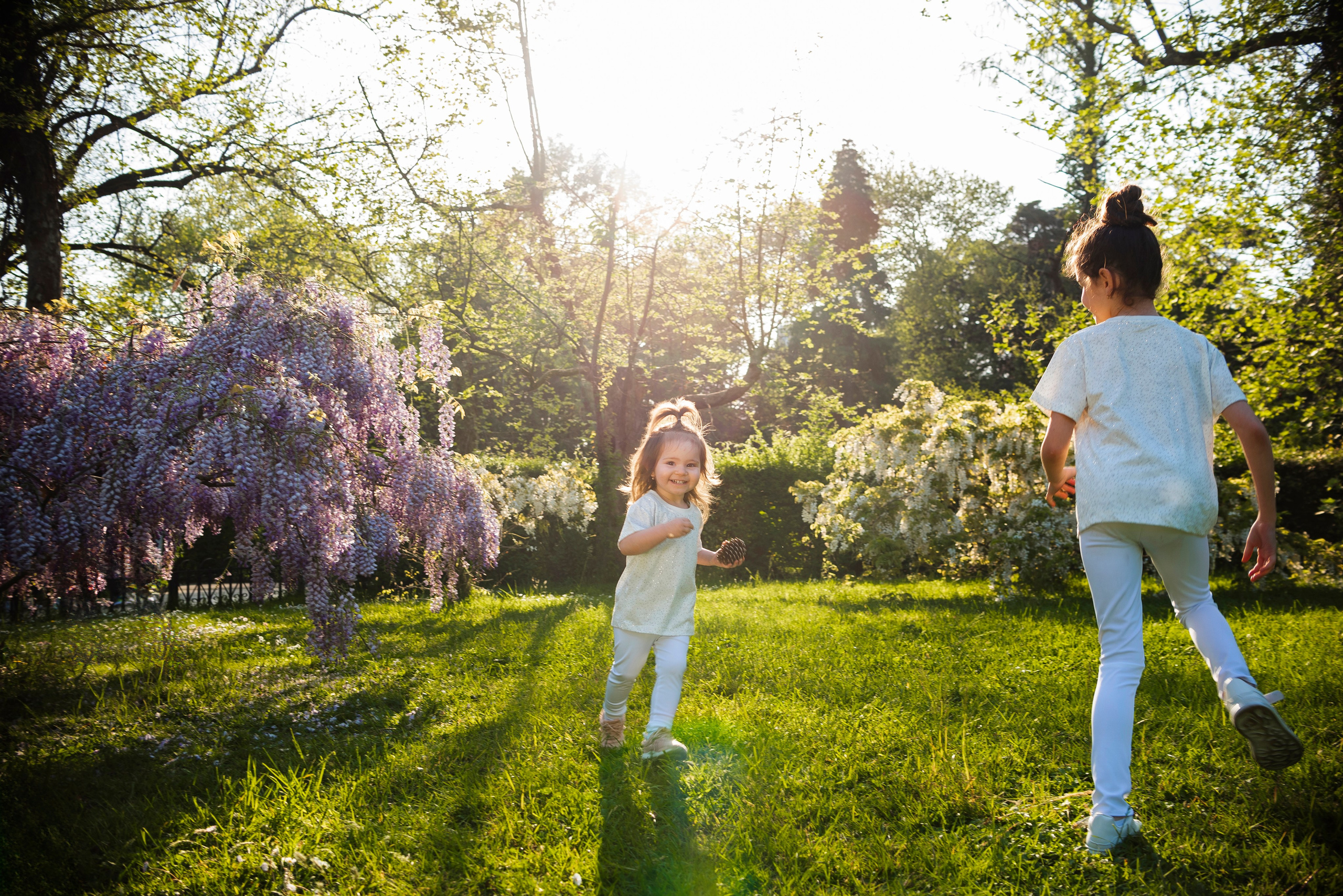 девочки,глициния, фотошоп, искусственный интелект, Дендрарий, Сочи, локация