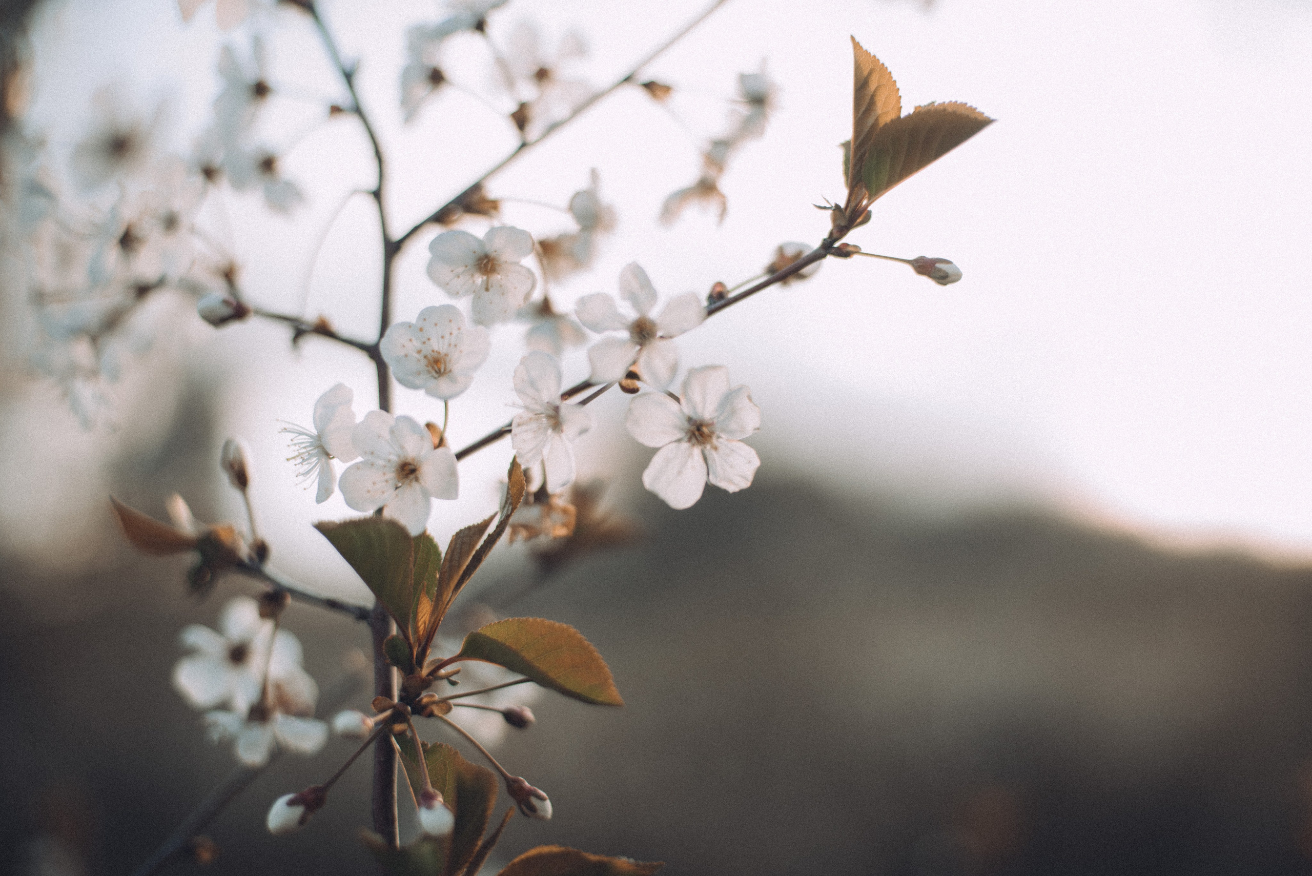 ОБО МНЕ. Художник, фотограф и арт-терапевт в Казани Аймалетдинова Альмира