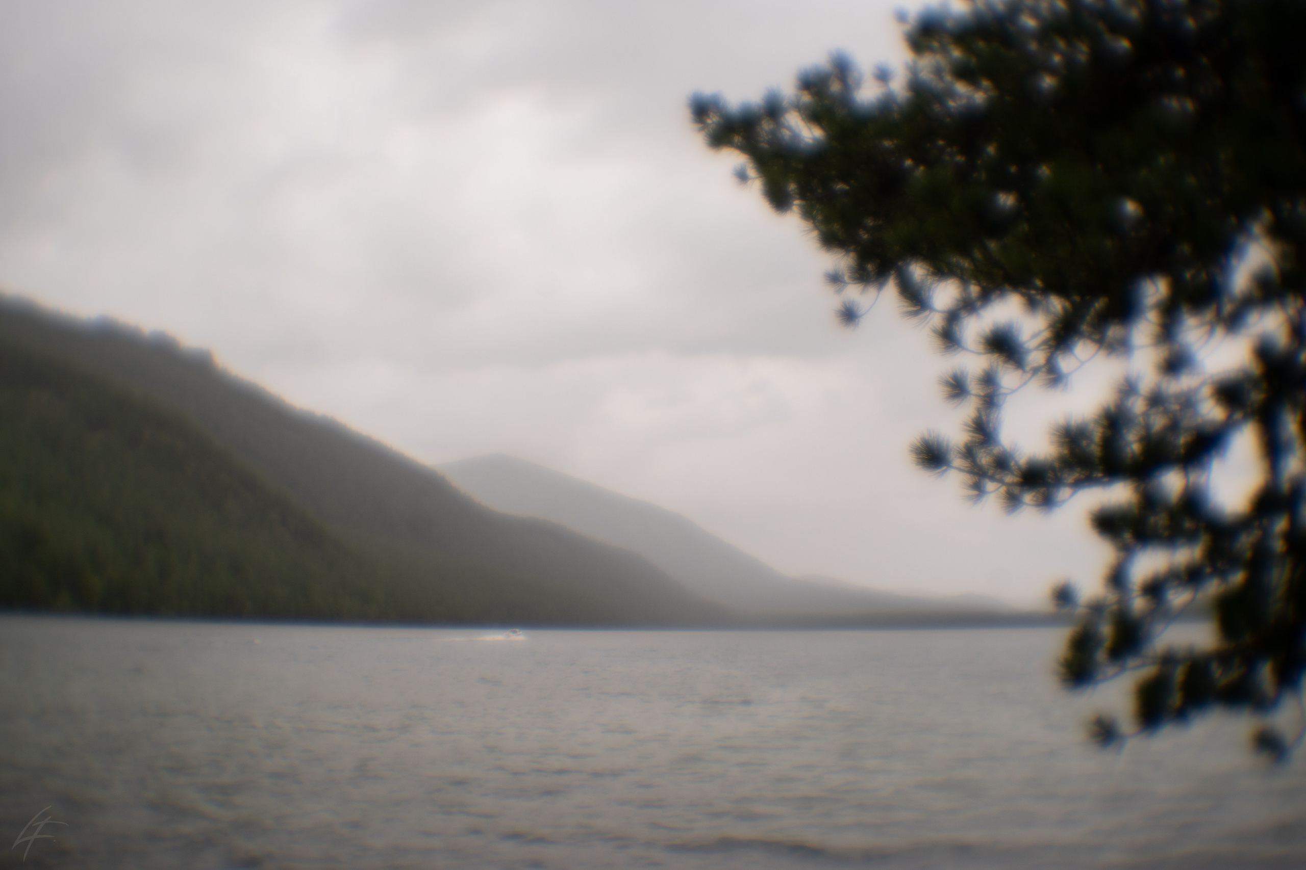 Алтай 2025. Лиза Фирстова