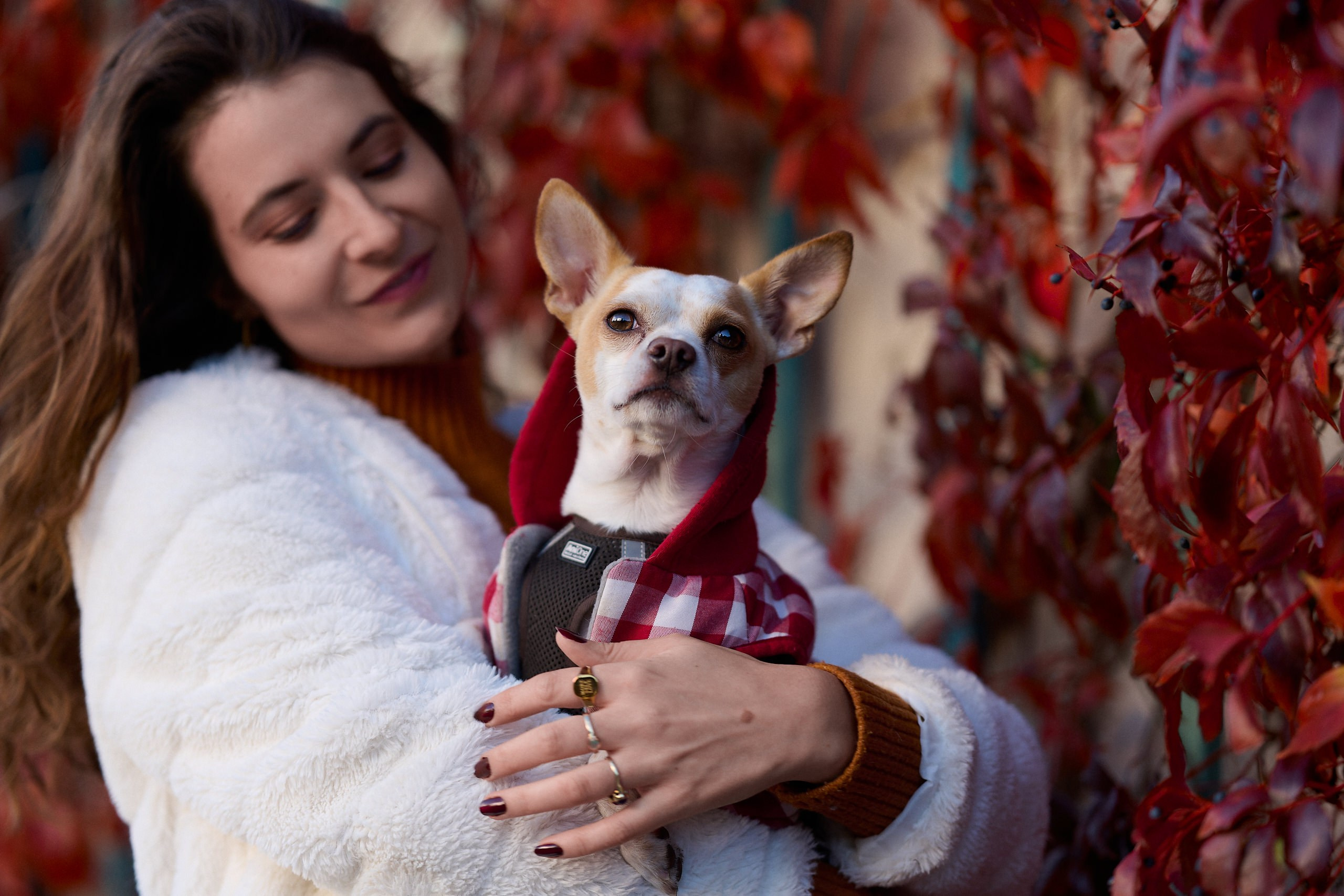 Autumn Portraits with Margaretha — Art Samara Photography. Nikolay Samara — Portrait, Lifestyle, Event & Work and Sport Photography in Bratislava