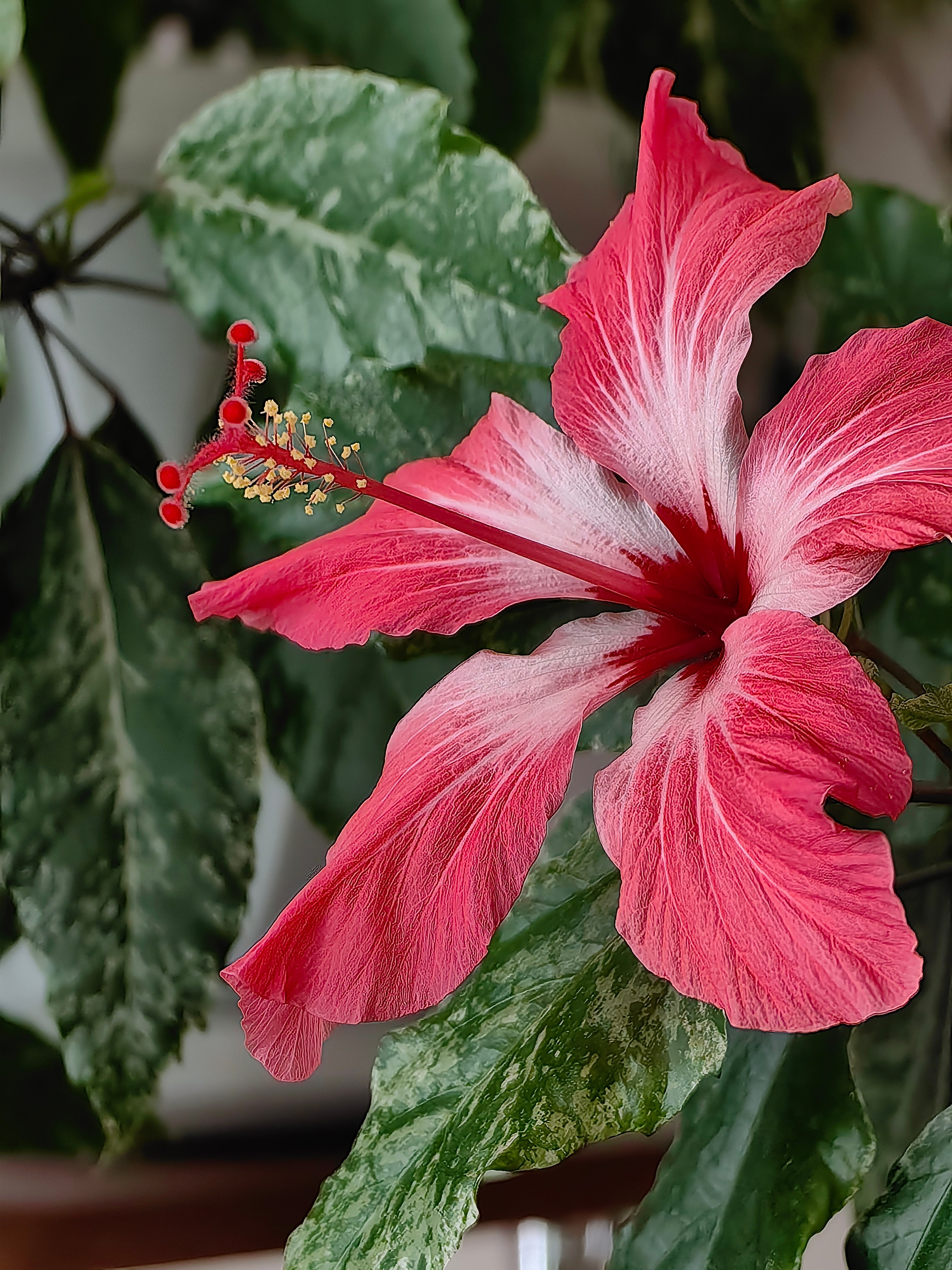 Вся красота мира в одной картинке