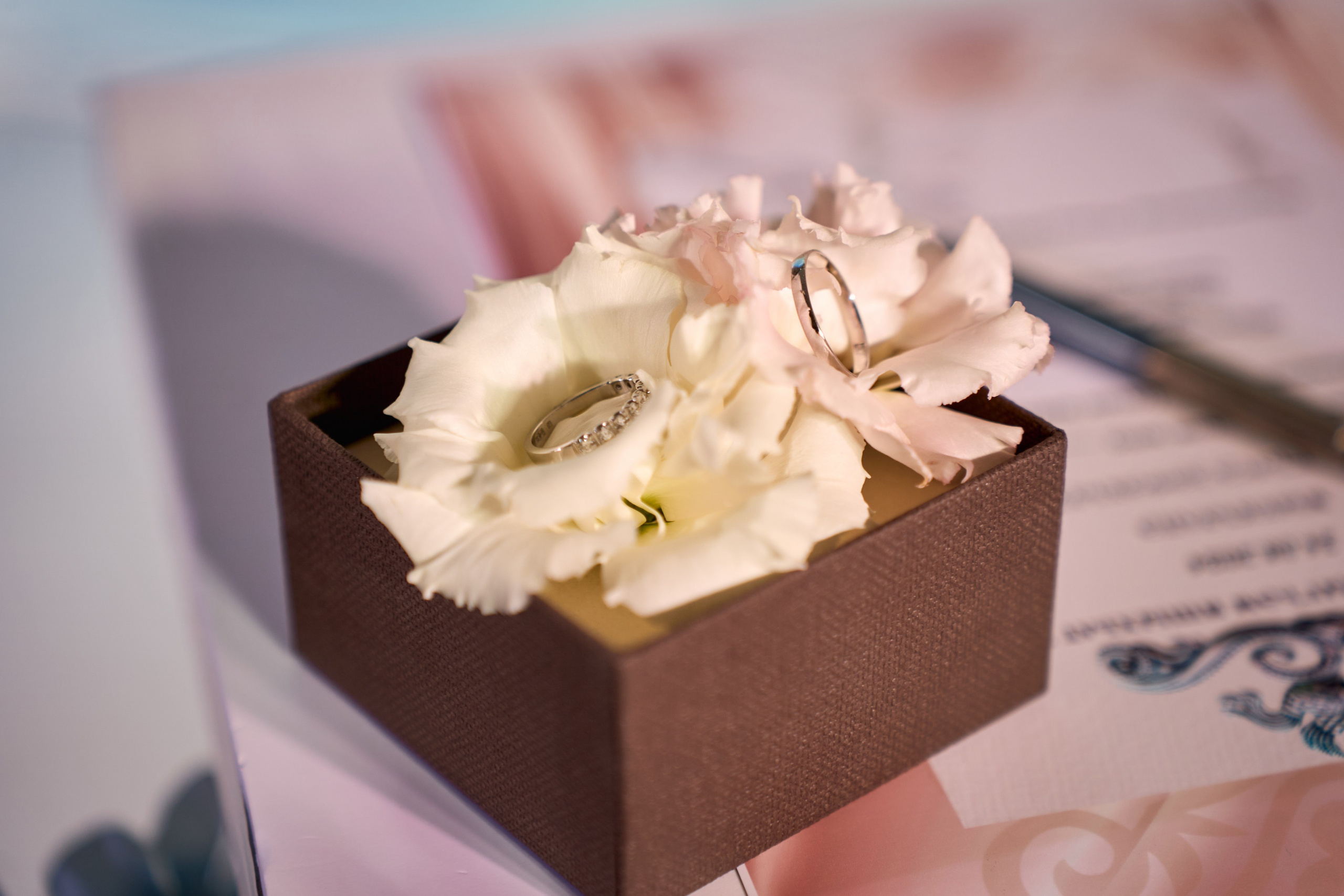 АДЫГСКАЯ СВАДЬБА. ТВИНС СТУДИО — лучшие свадебные фотографы и видеографы в Краснодаре