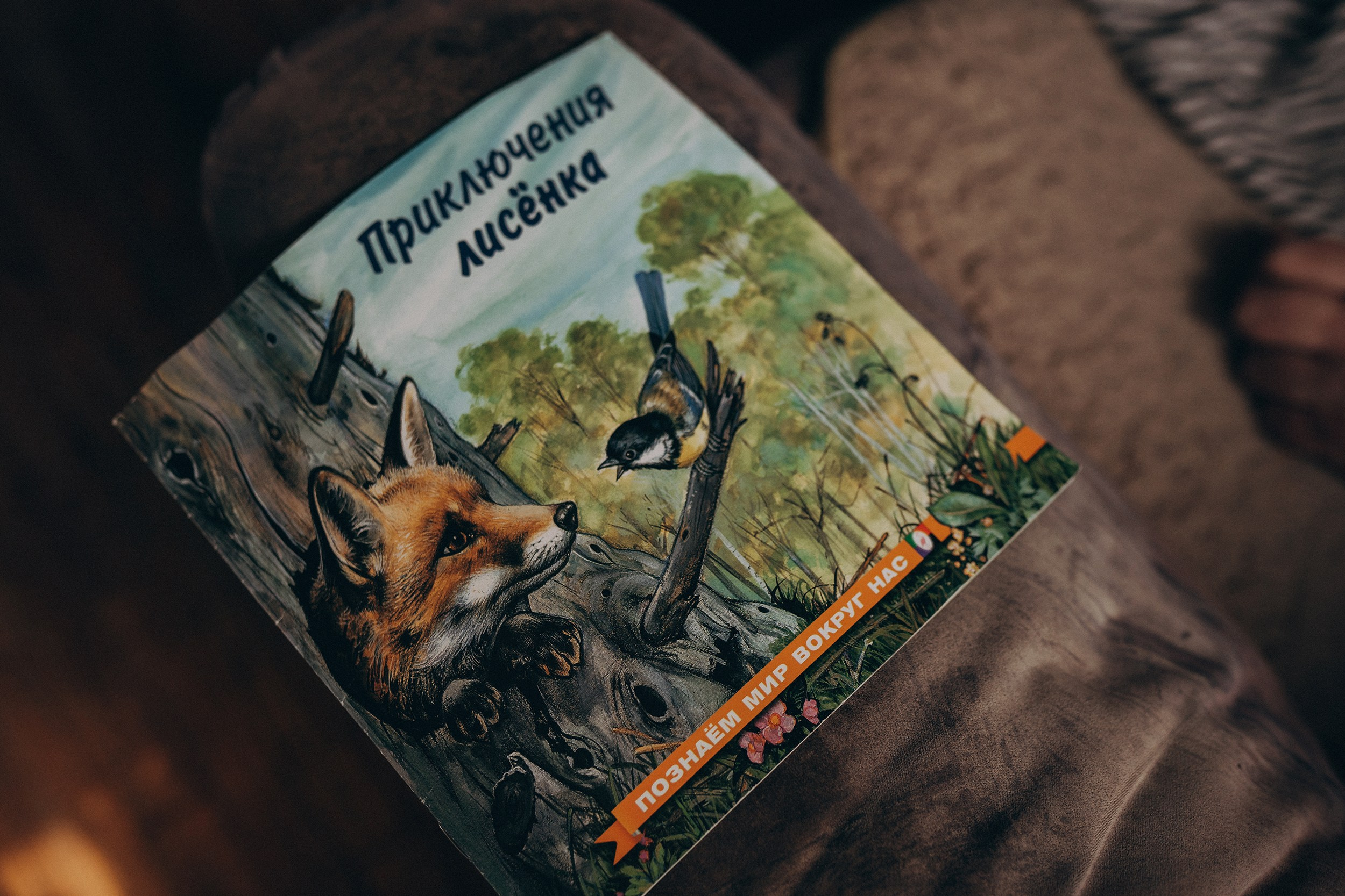 Поколения. Детский и семейный фотограф — Калининград — Юля Насифуллина