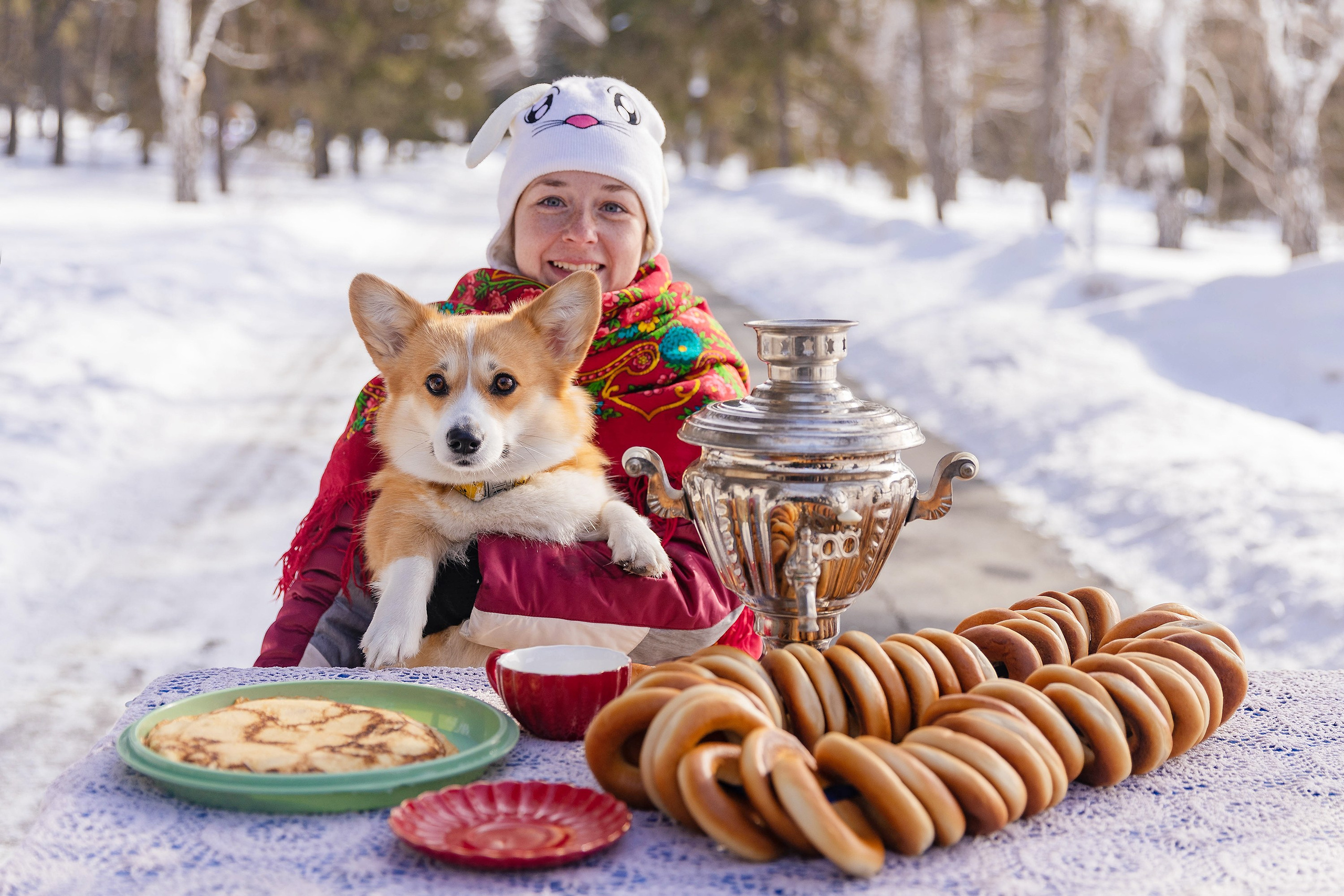 Корги-туса. Фотограф-анималист в Омске Екатерина Маричева