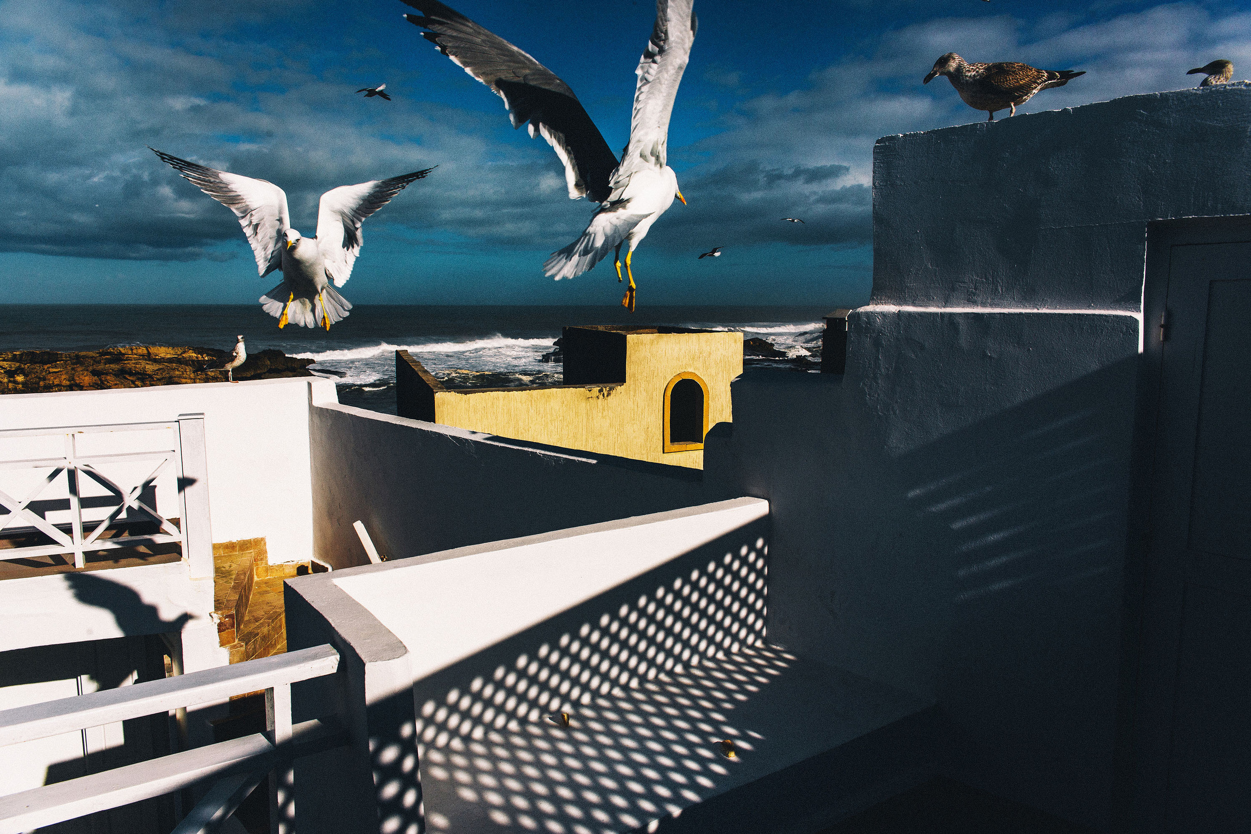 Фотограф Константин Грибов в Москве