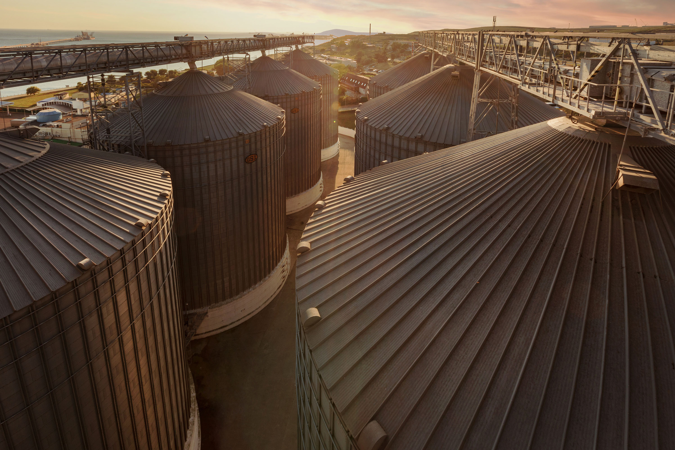 Фотограф Константин Грибов в Москве
