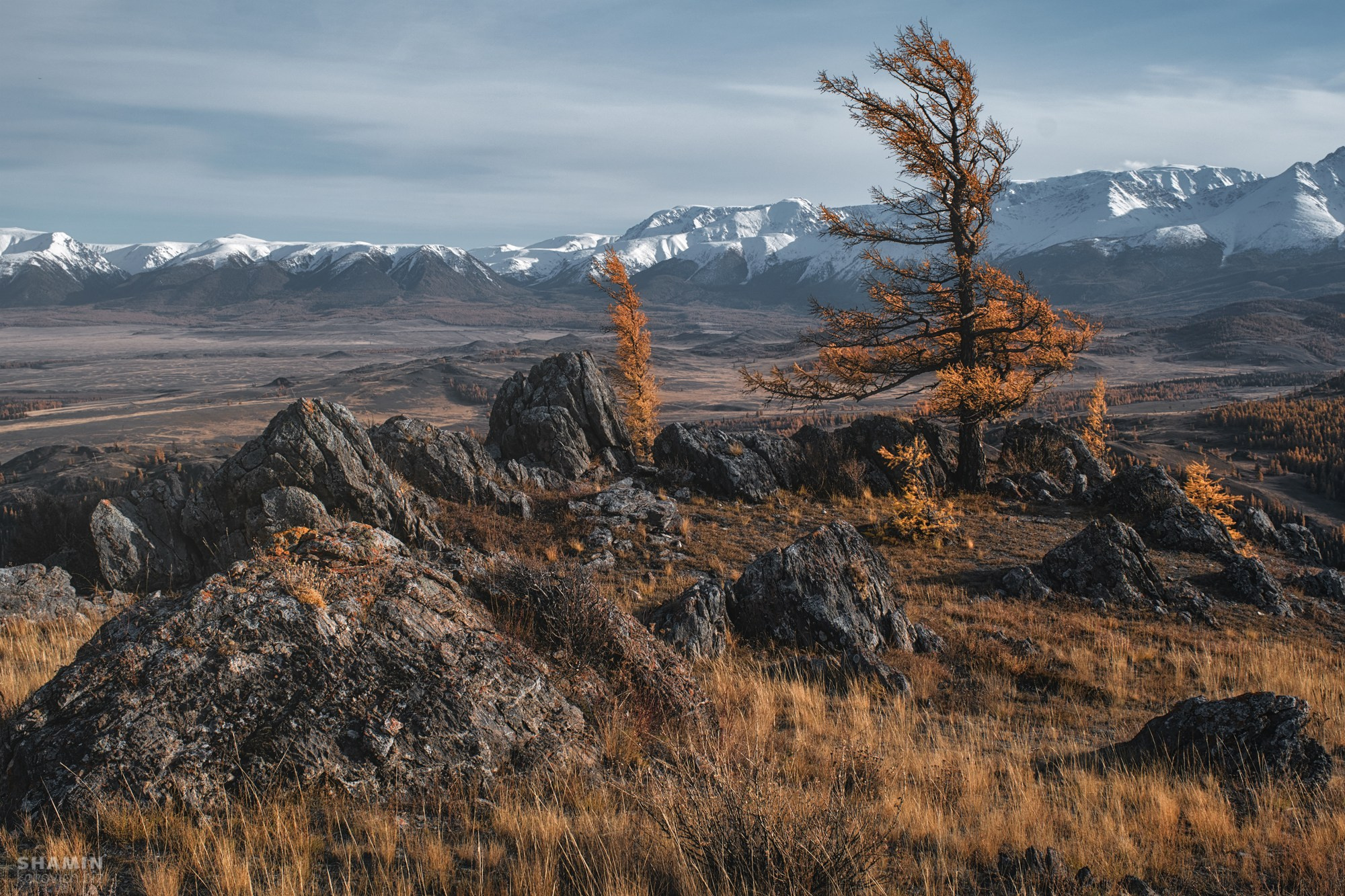 Проект 365. Фотограф Константин Шамин