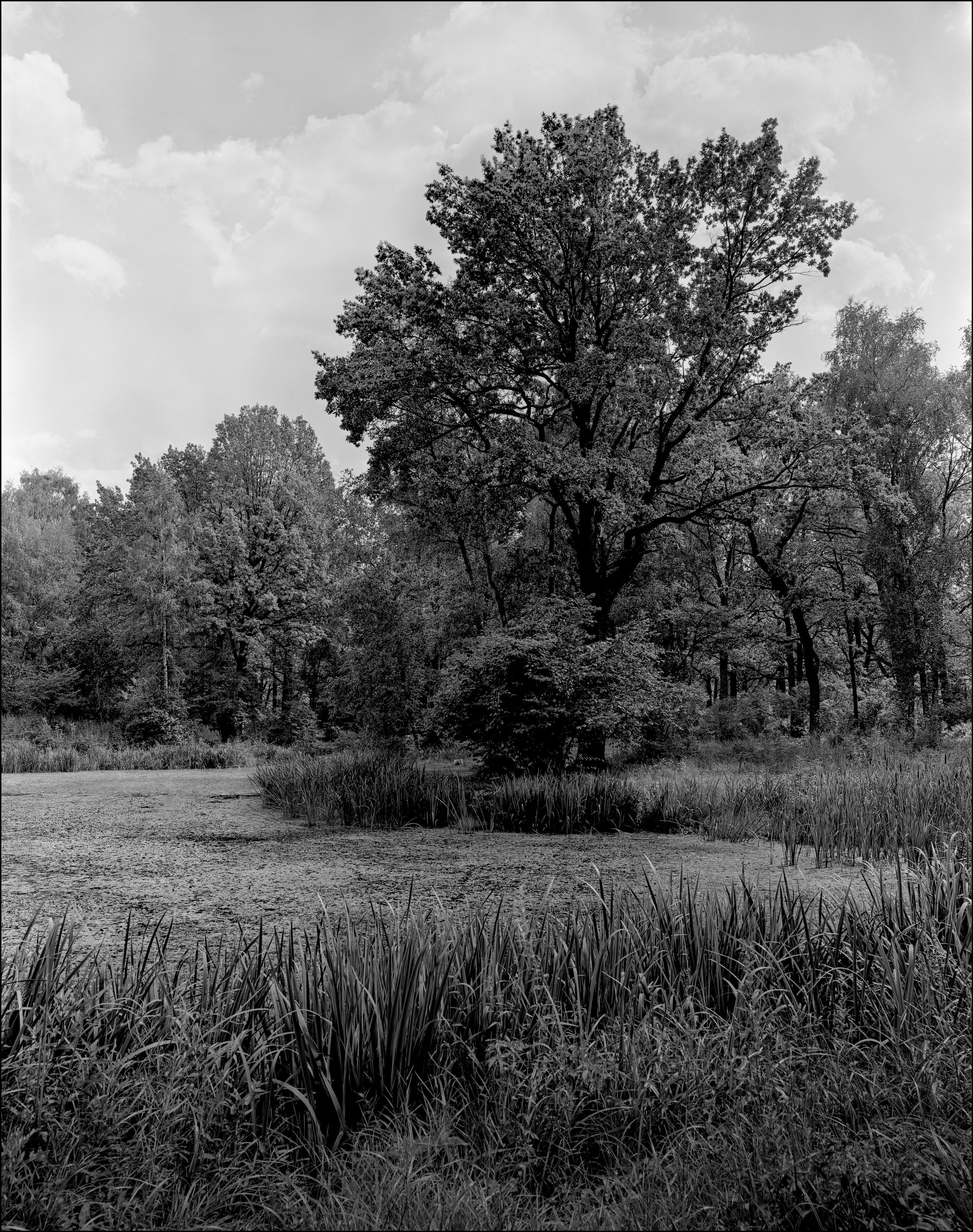 Landscape. Sergey Kondriuk art-photographer | artist