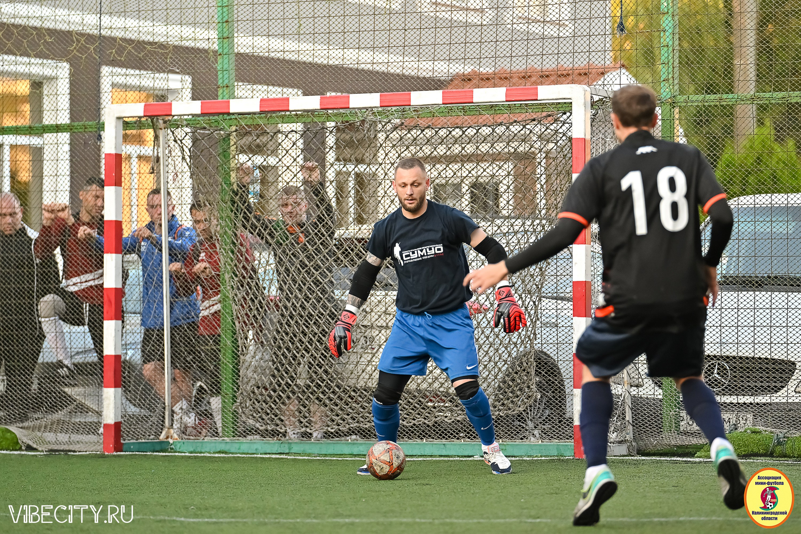 ИГРЫ МИНИ-ФУТБОЛЬНОЙ И КОРПОРАТИВНОЙ ЛИГИ. VIBECITY.RU Вайб Сити Ру Фоторепортажи Фотоотчеты Калининград