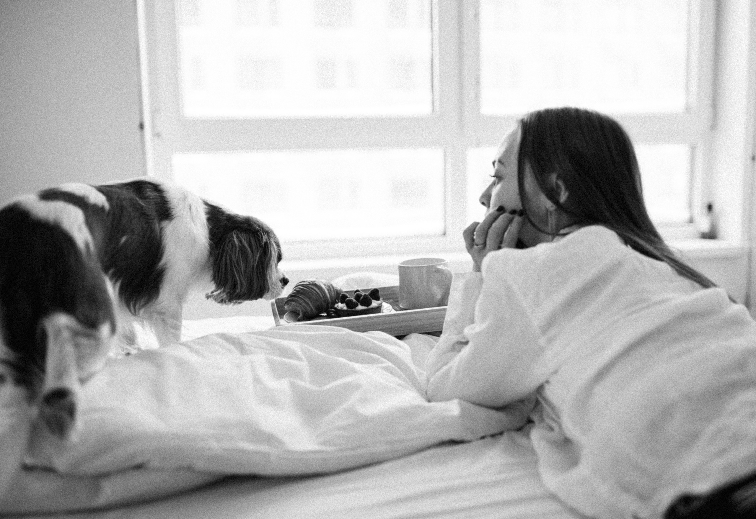 Лучшие друзья