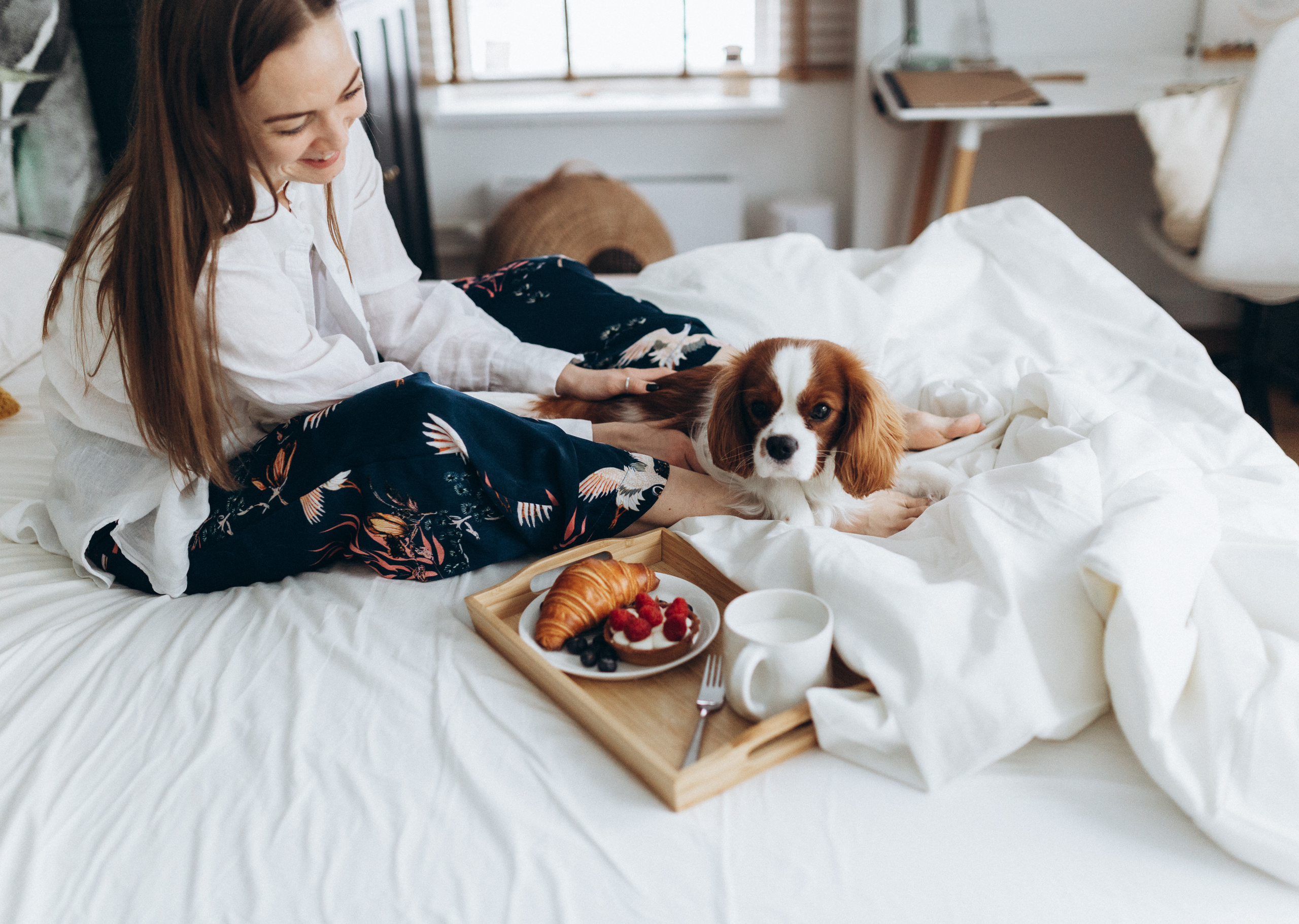 Лучшие друзья