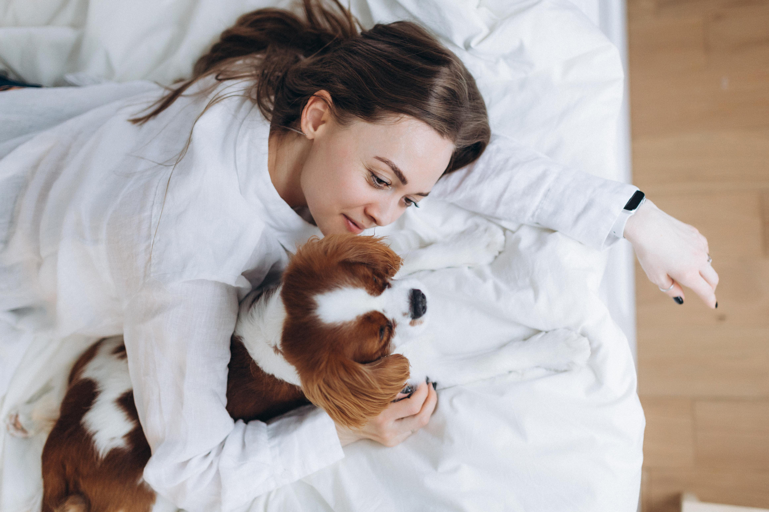 Лучшие друзья