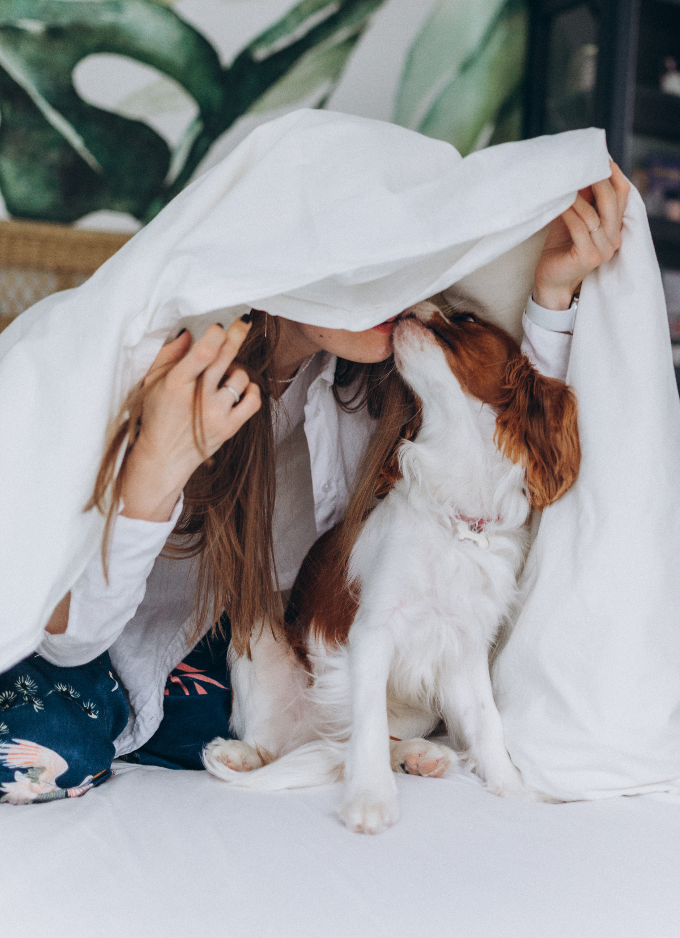 Лучшие друзья