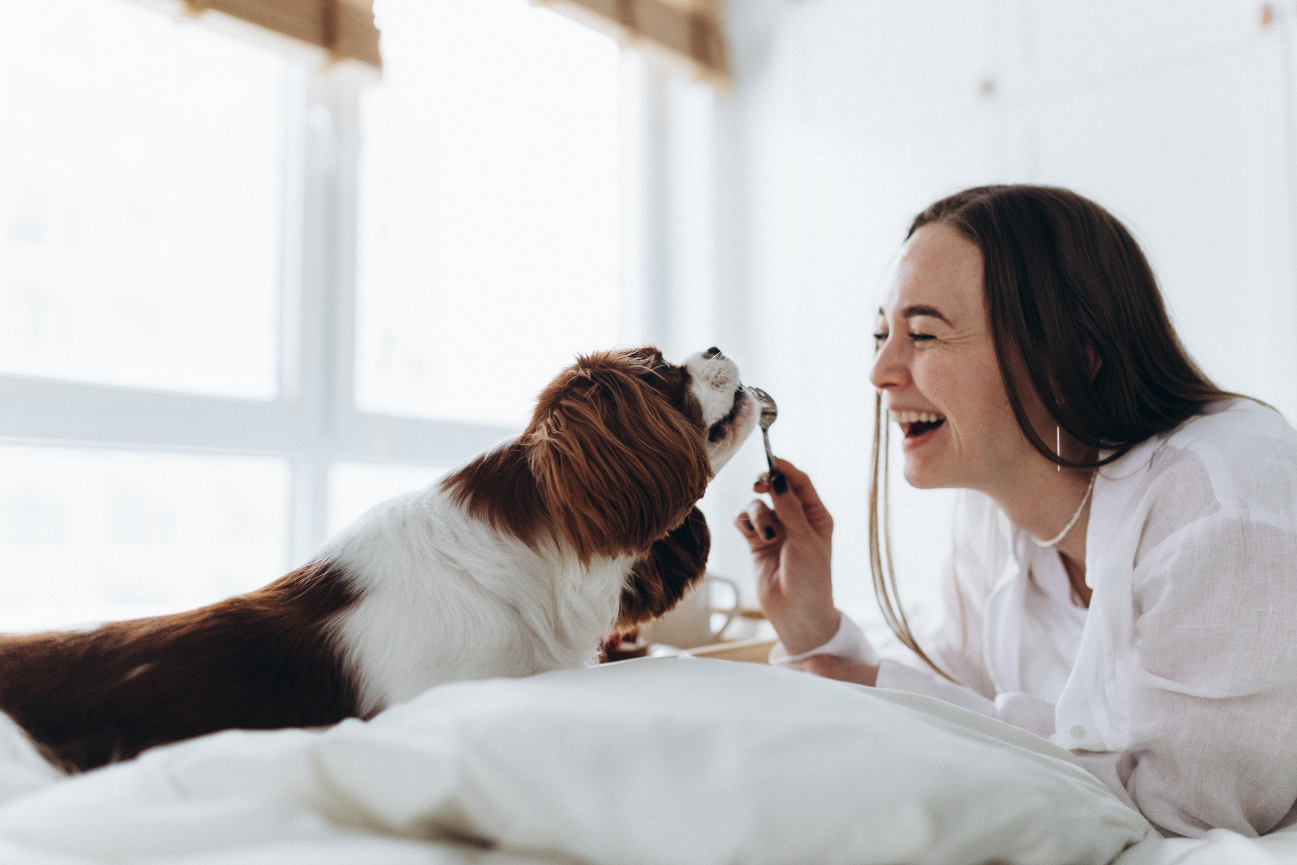 Лучшие друзья