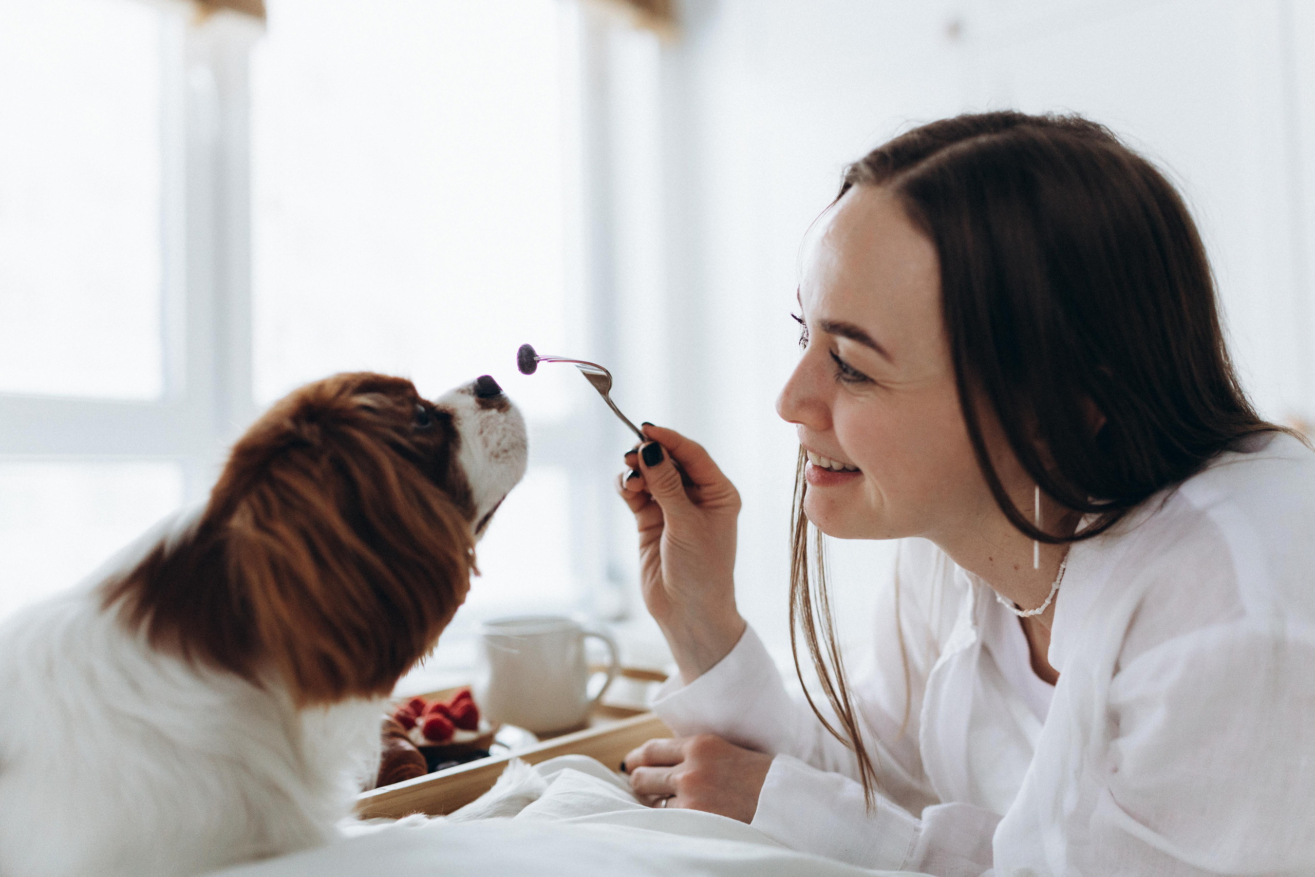 Лучшие друзья