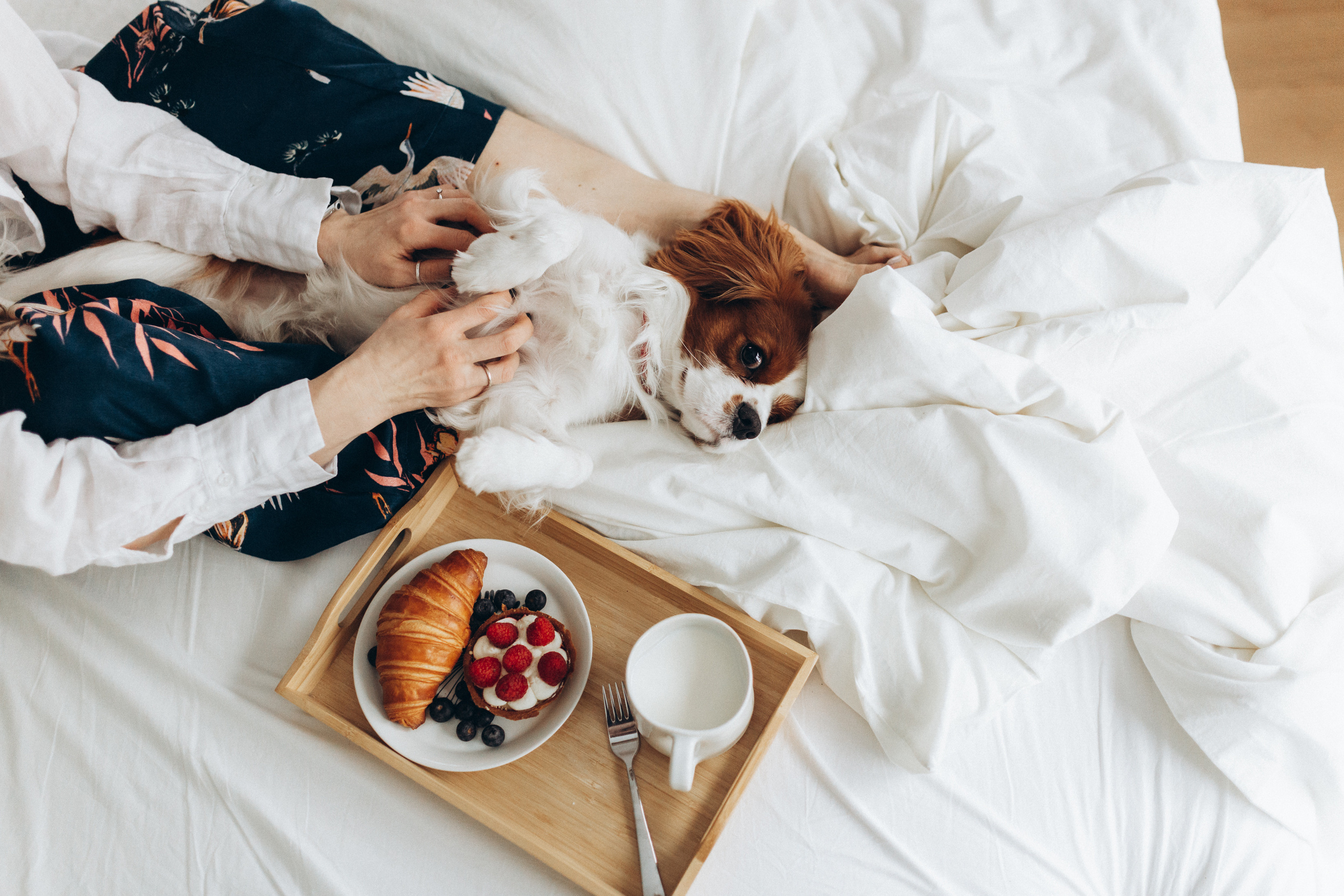 Лучшие друзья