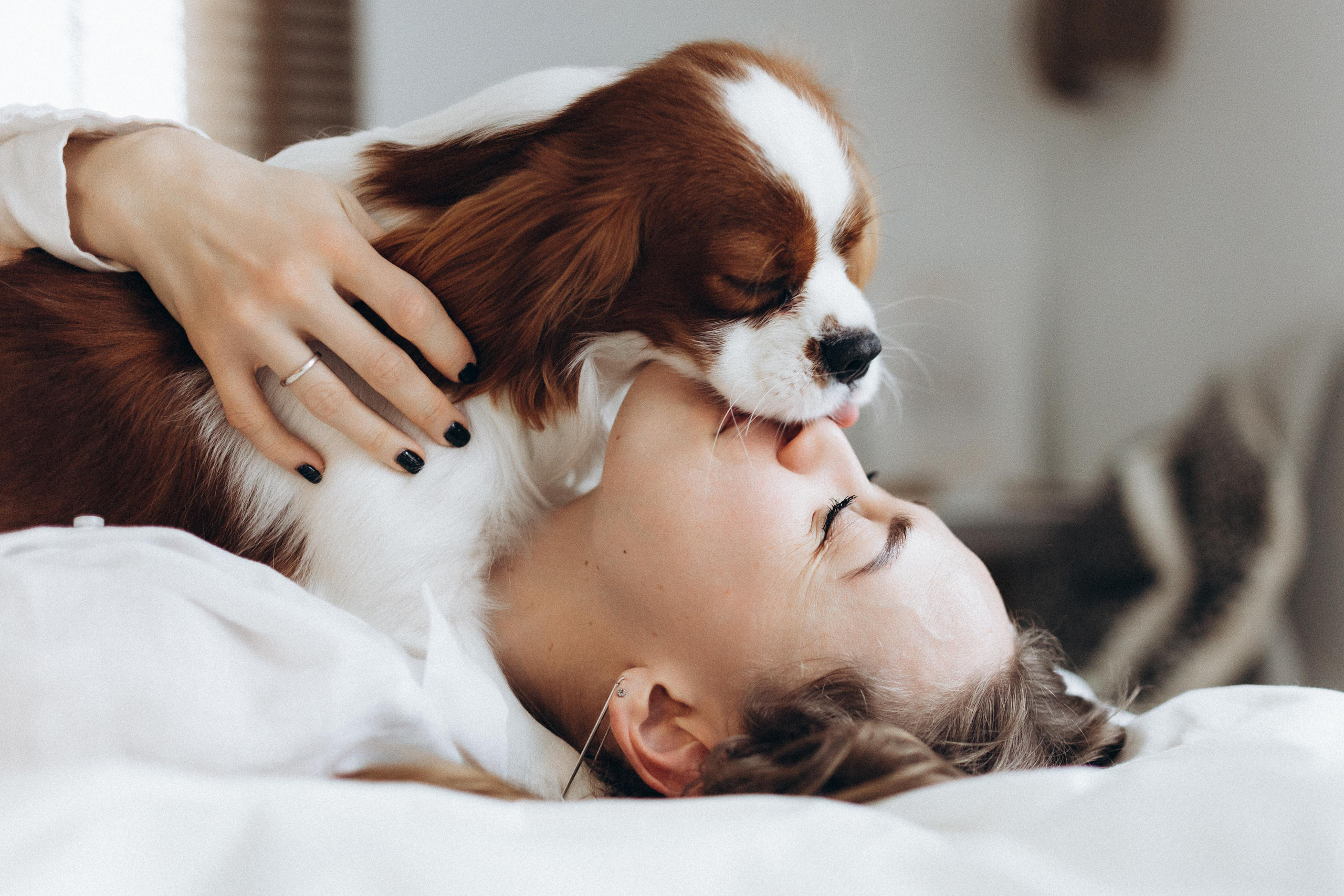 Лучшие друзья