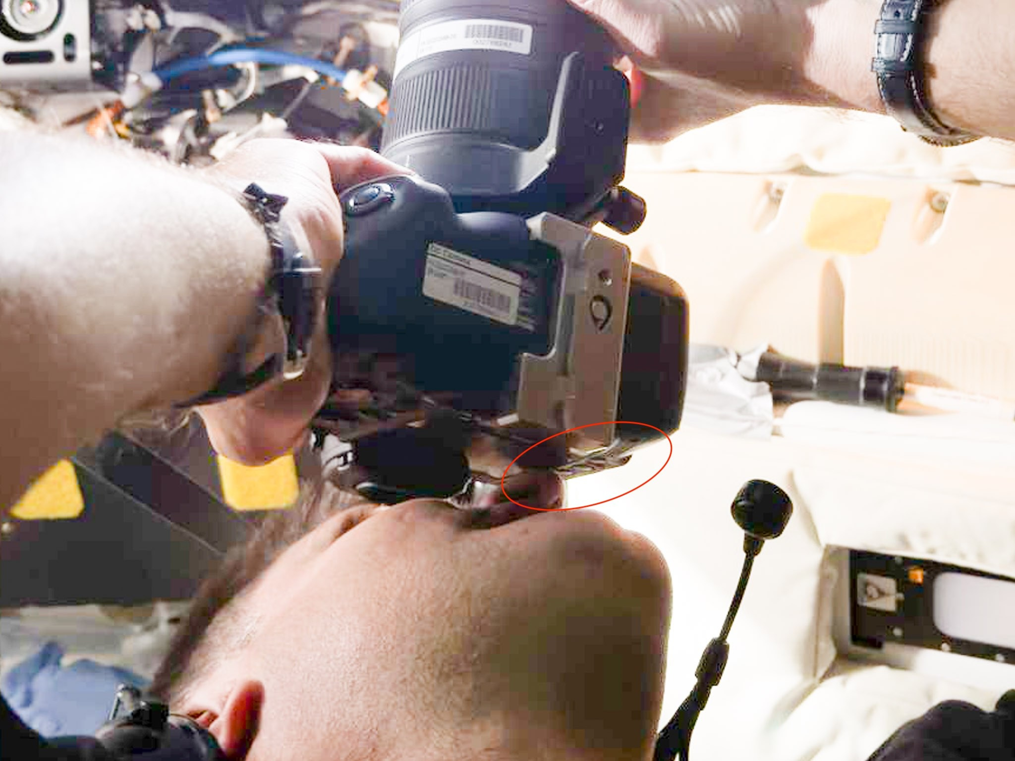 А точно ли это Nikon Z9?. Репортажный фотограф в Сочи — Михаил Мордасов