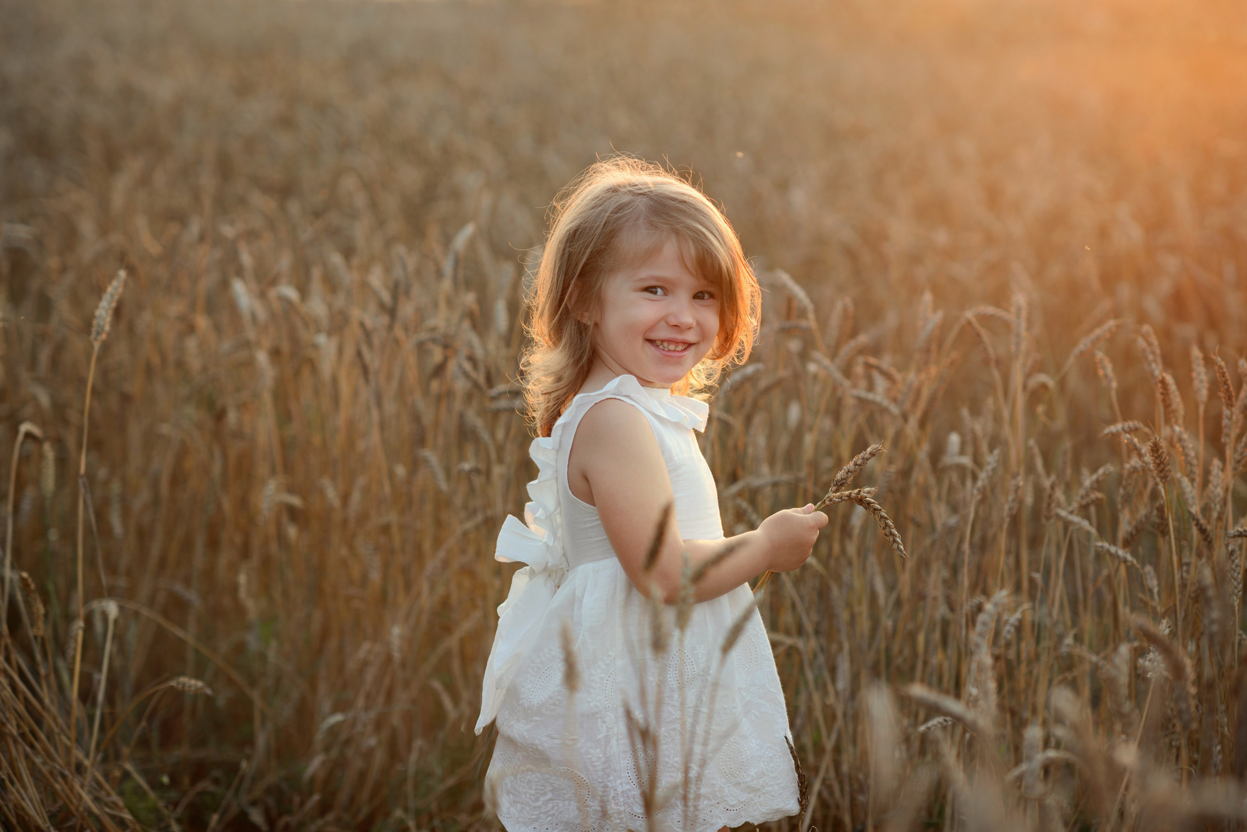 Photo shoot, Little girl in a wheat field at sunset