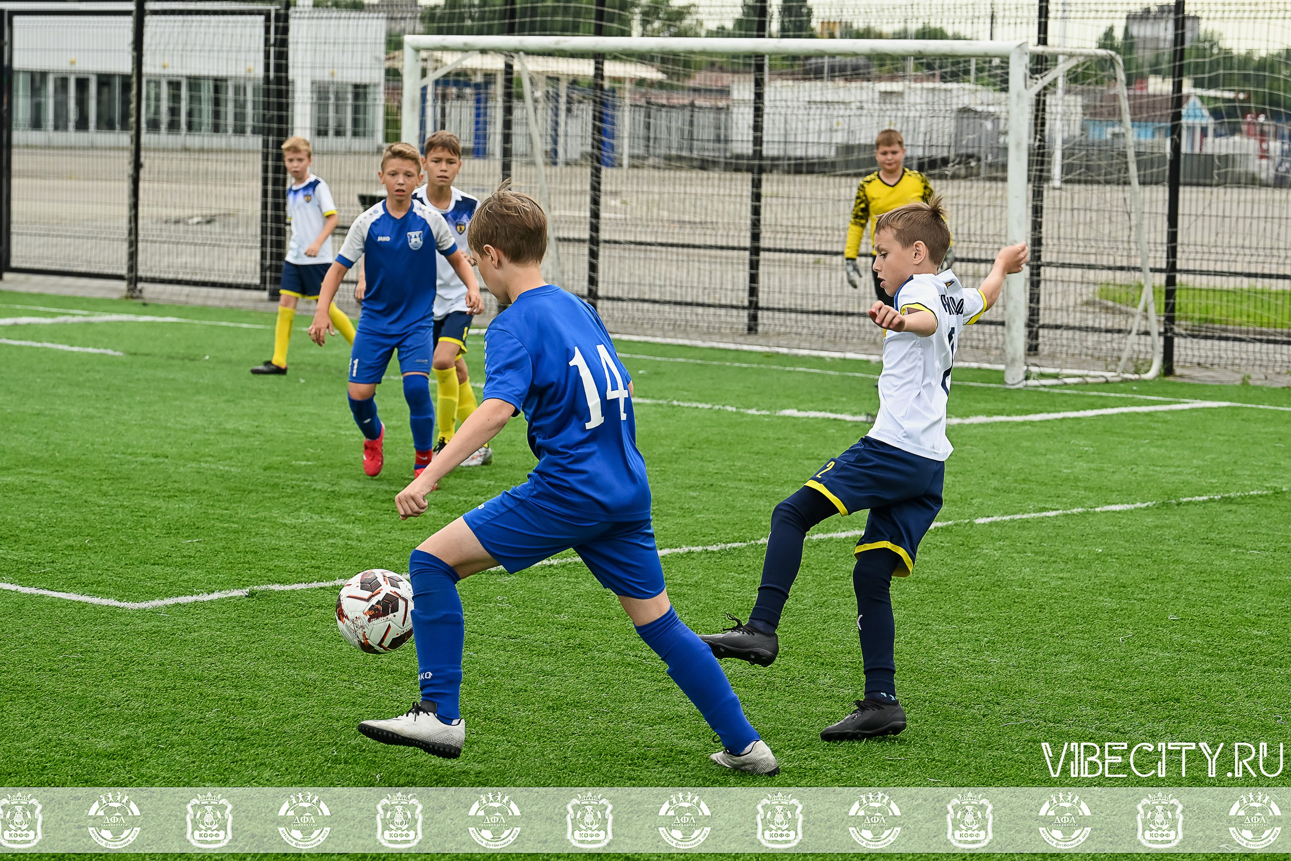 Калининградская Детская Футбольная Лига. VIBECITY.RU Вайб Сити Ру Фоторепортажи Фотоотчеты Калининград