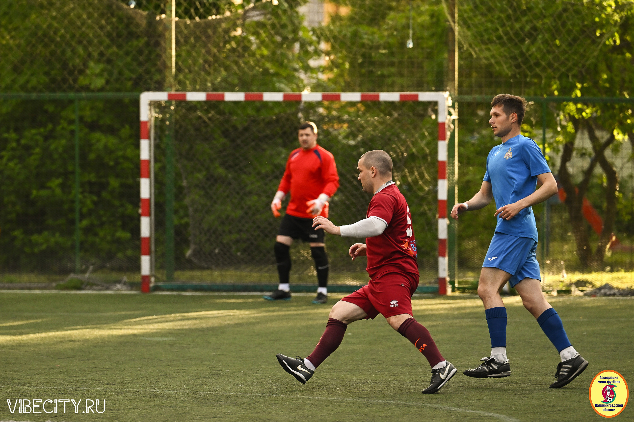 ИГРЫ МИНИ-ФУТБОЛЬНОЙ ЛИГИ. VIBECITY.RU Вайб Сити Ру Фоторепортажи Фотоотчеты Калининград