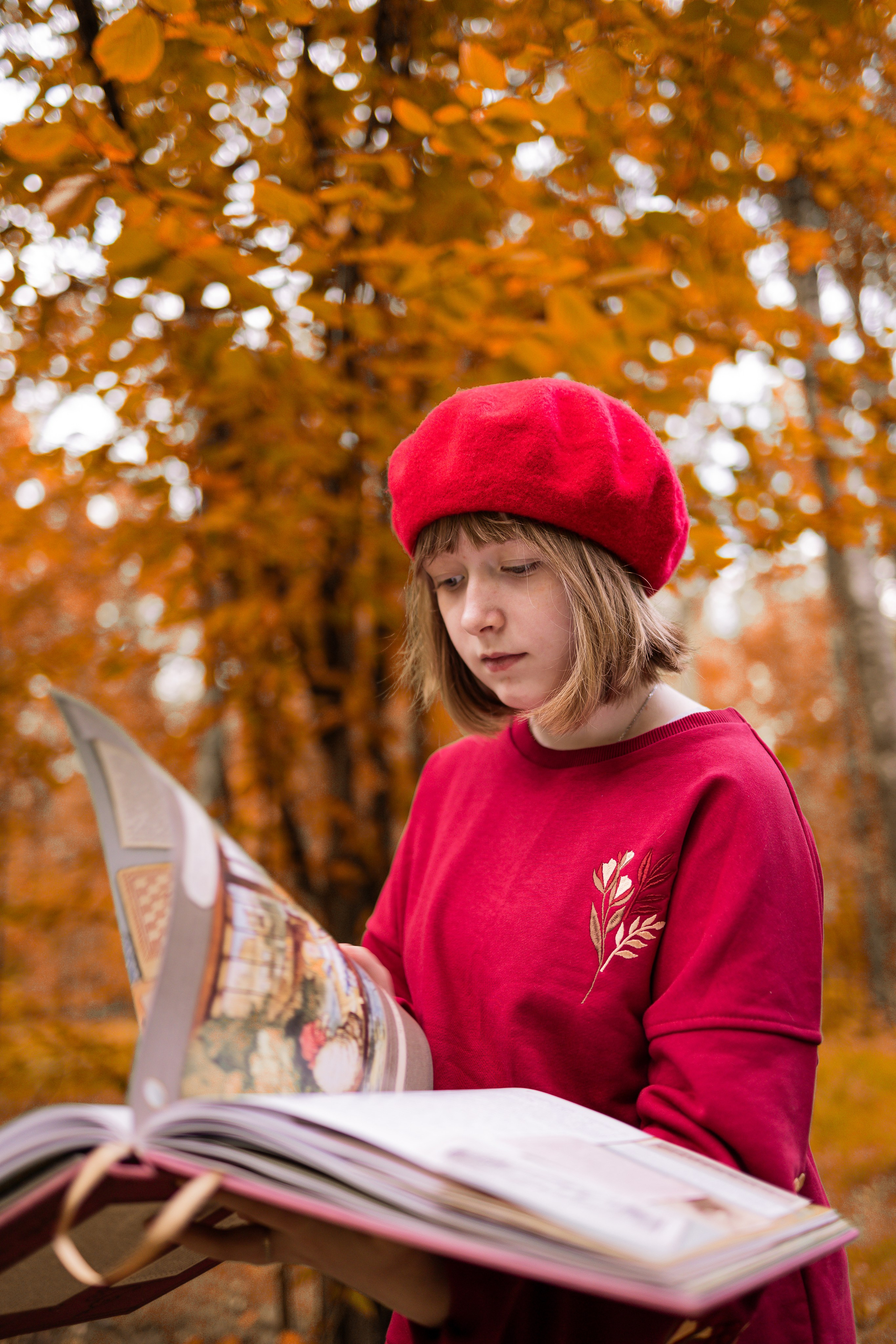 Сказочный лес