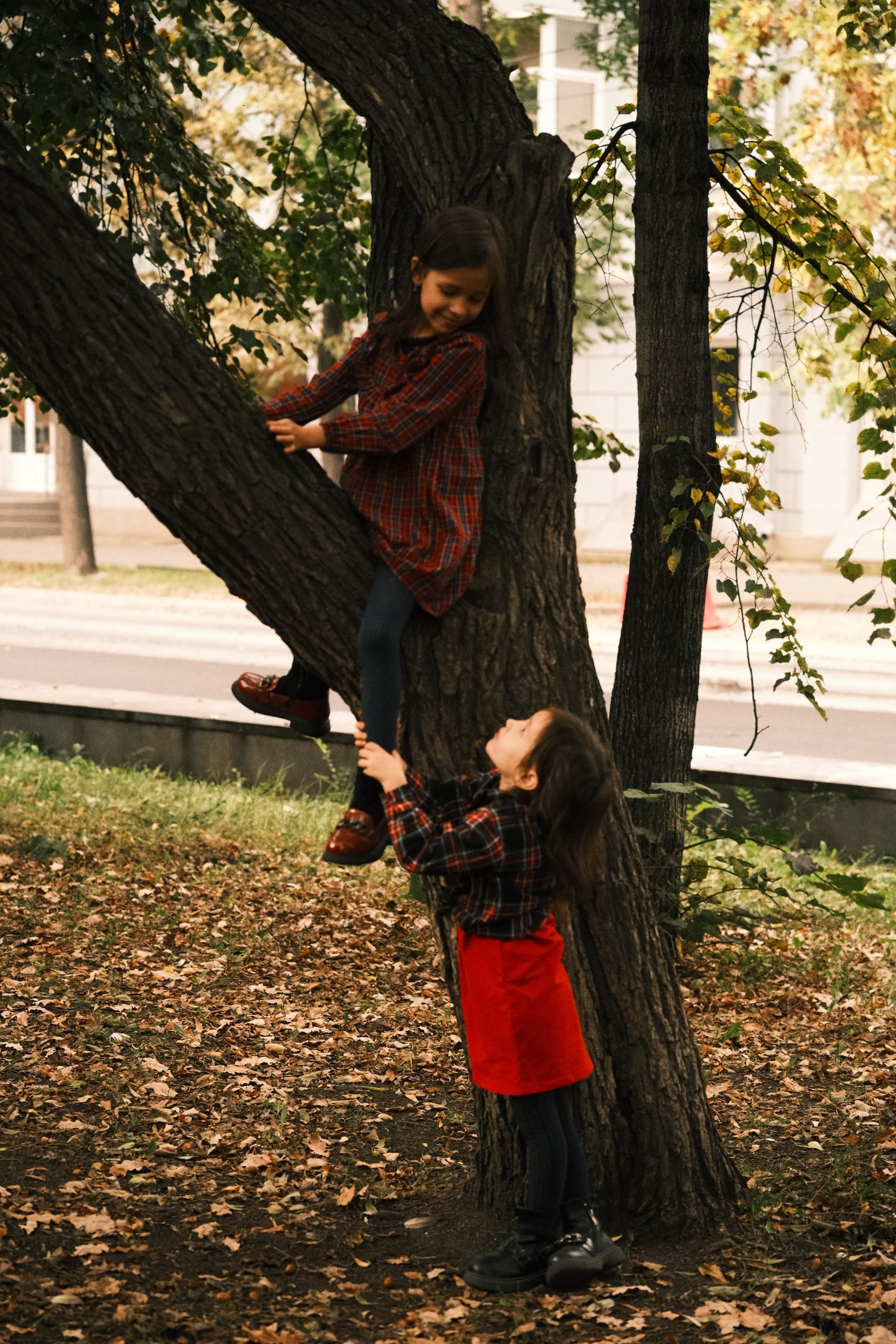 Алина. Свадебный, портретный и детский фотограф в Челябинске