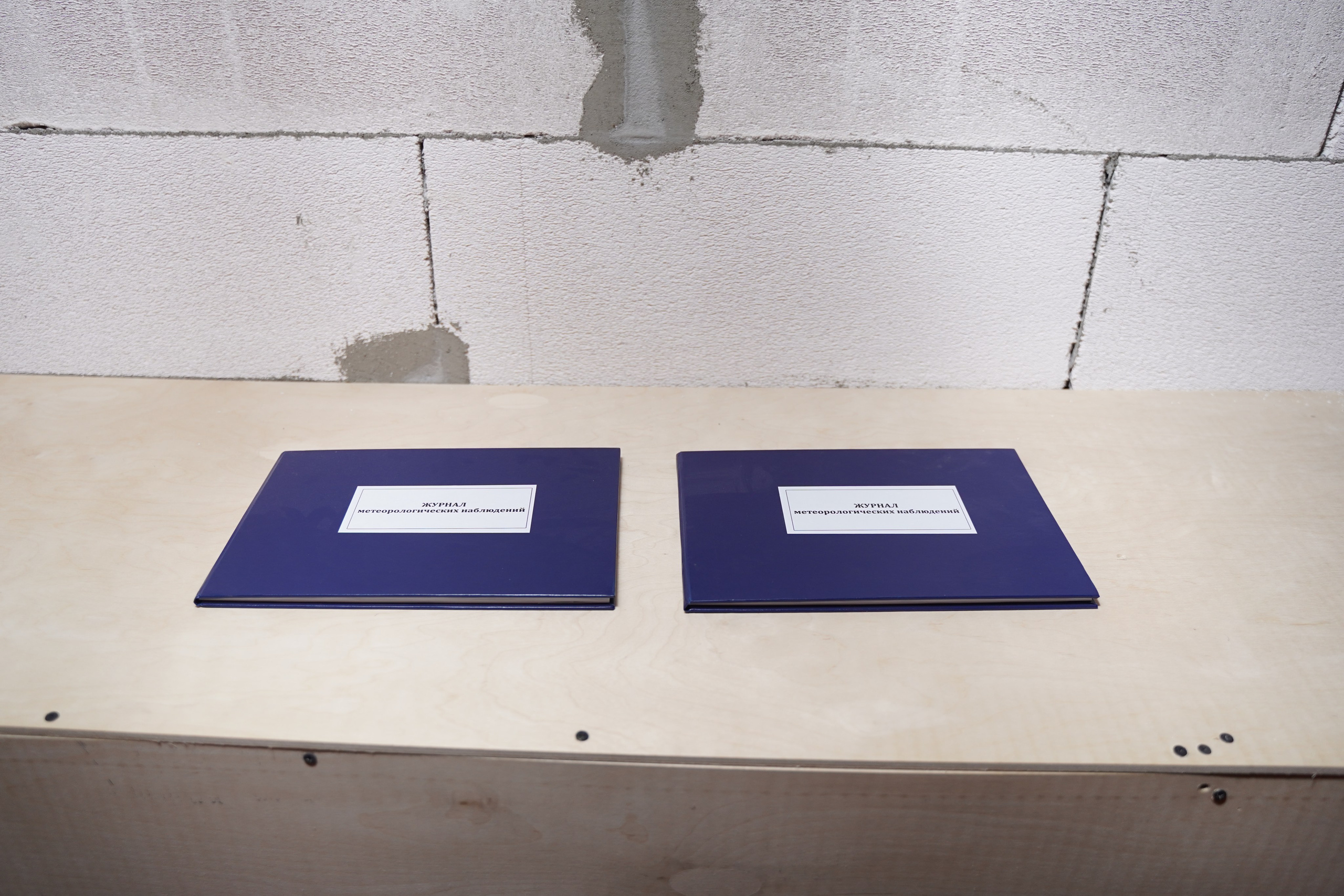 Полуденное, групповая выставка, 26.09-10.10, пространство «Союз», Тула. Лера Круглова