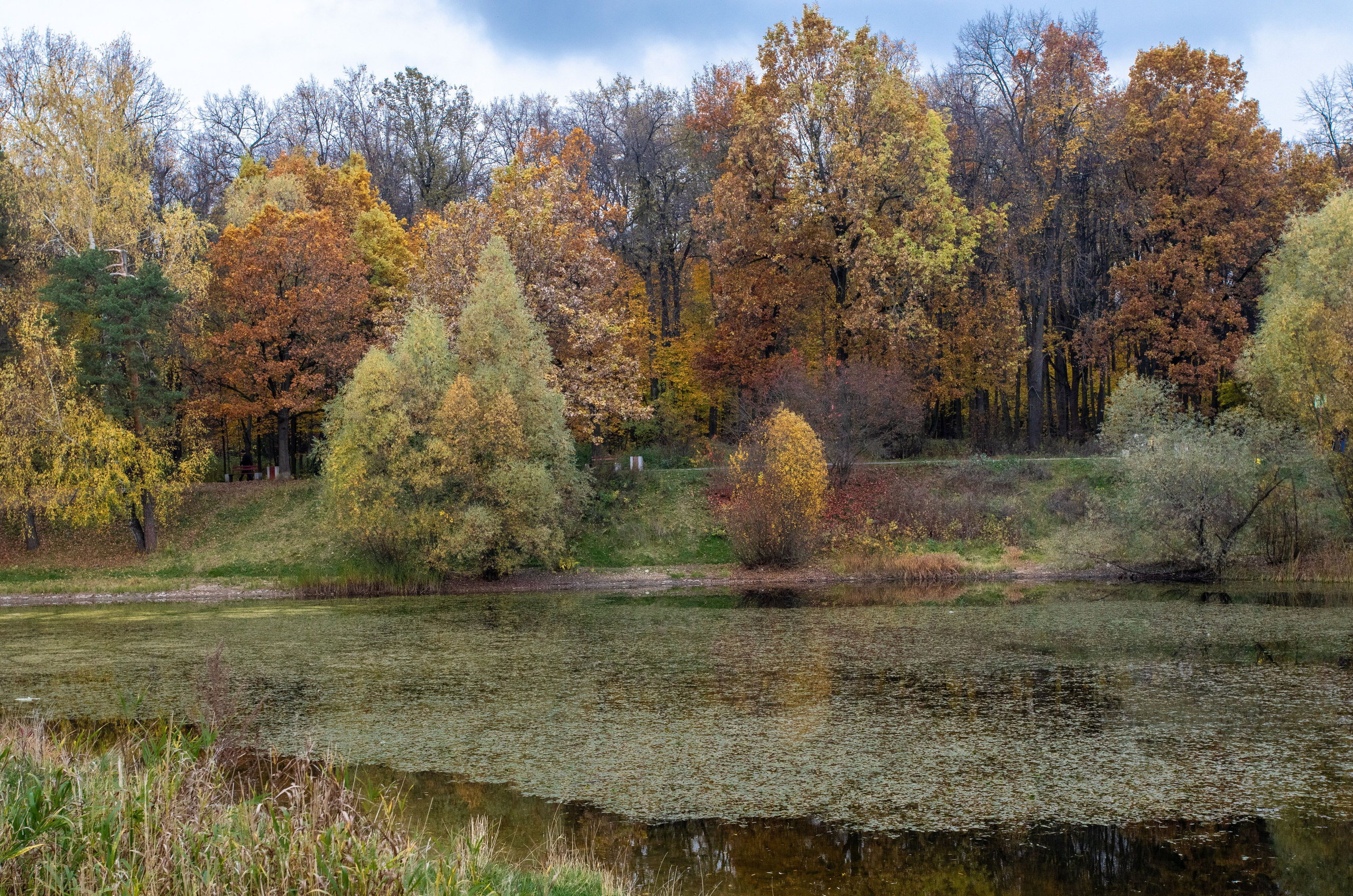 Осень. Свадьбы, портретная, предметная съемка. Фотограф Александр К