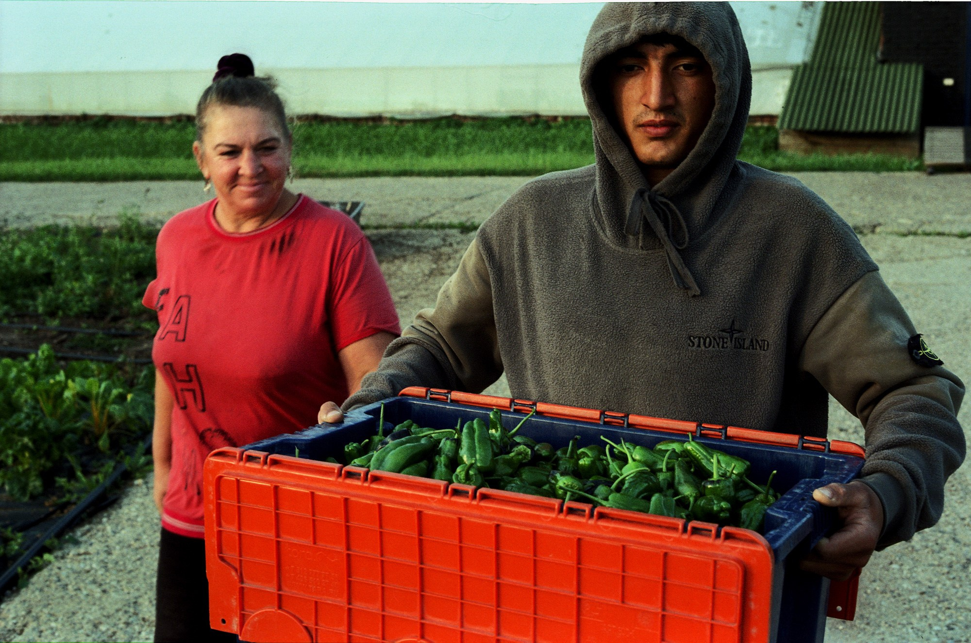 SuperFoodFarm. The history of the farm. Another person Pavel Potseluev. A photographer in 2025