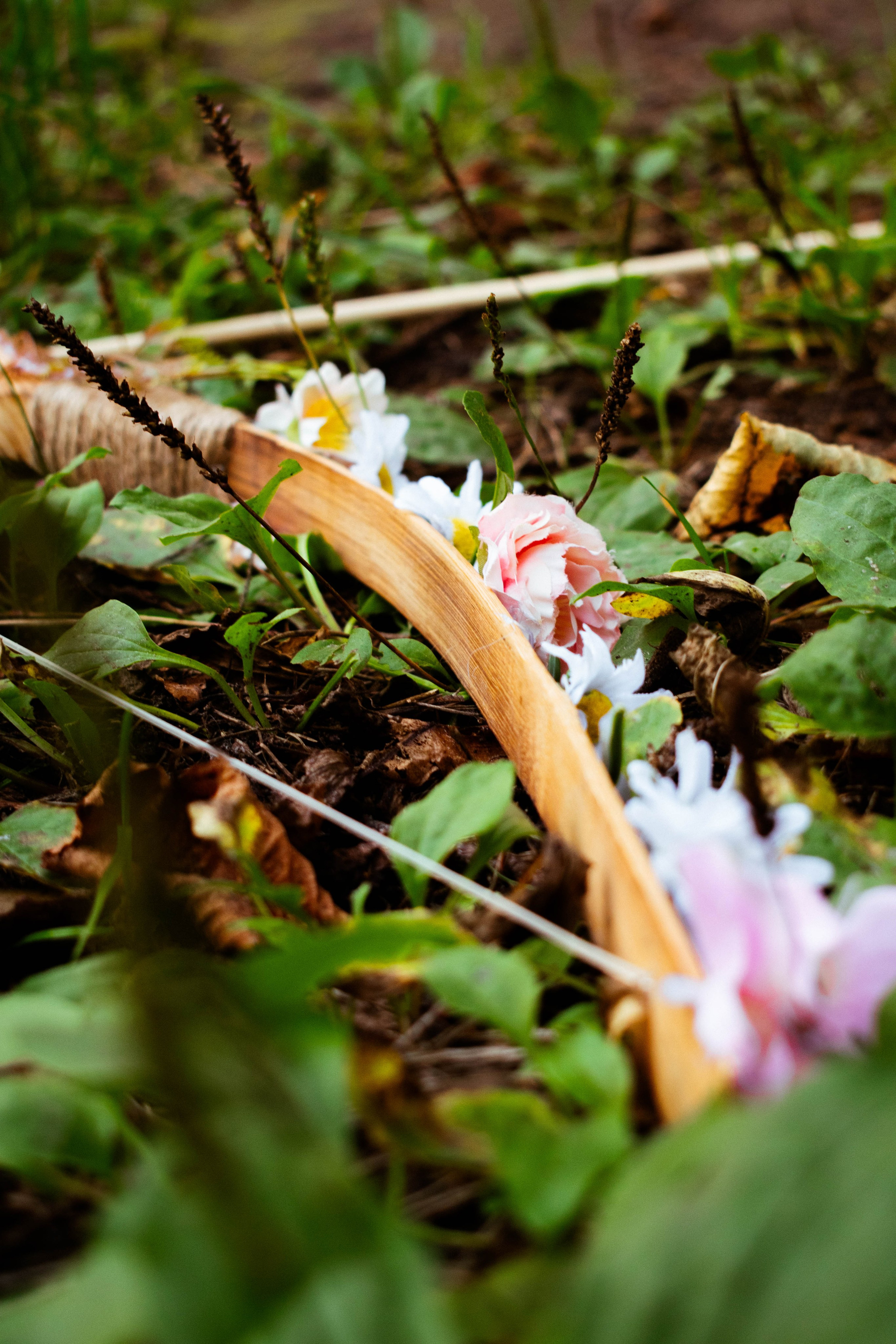 Лесная фея. Фотограф Оля Зорина Санкт-Петербург